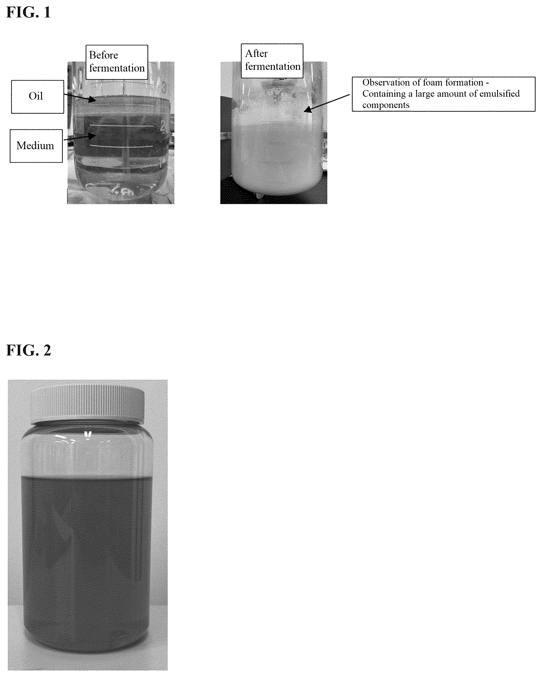 Patent US12576023 — Fermented nano-emulsifier composition and preparation method therefor — Figure 1