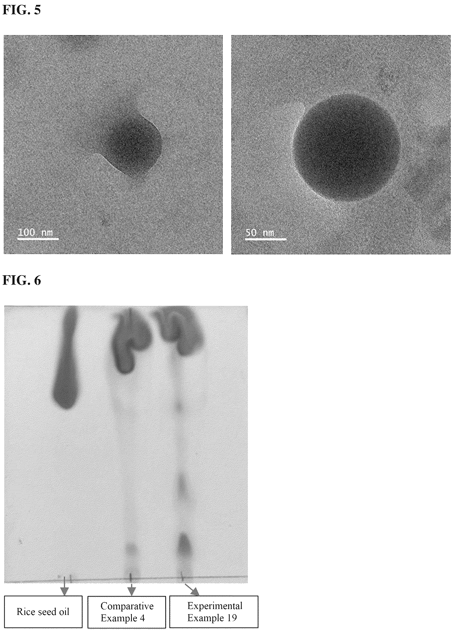 Patent US12576023 Figure 4 – Fermented nano-emulsifier composition and preparation method therefor