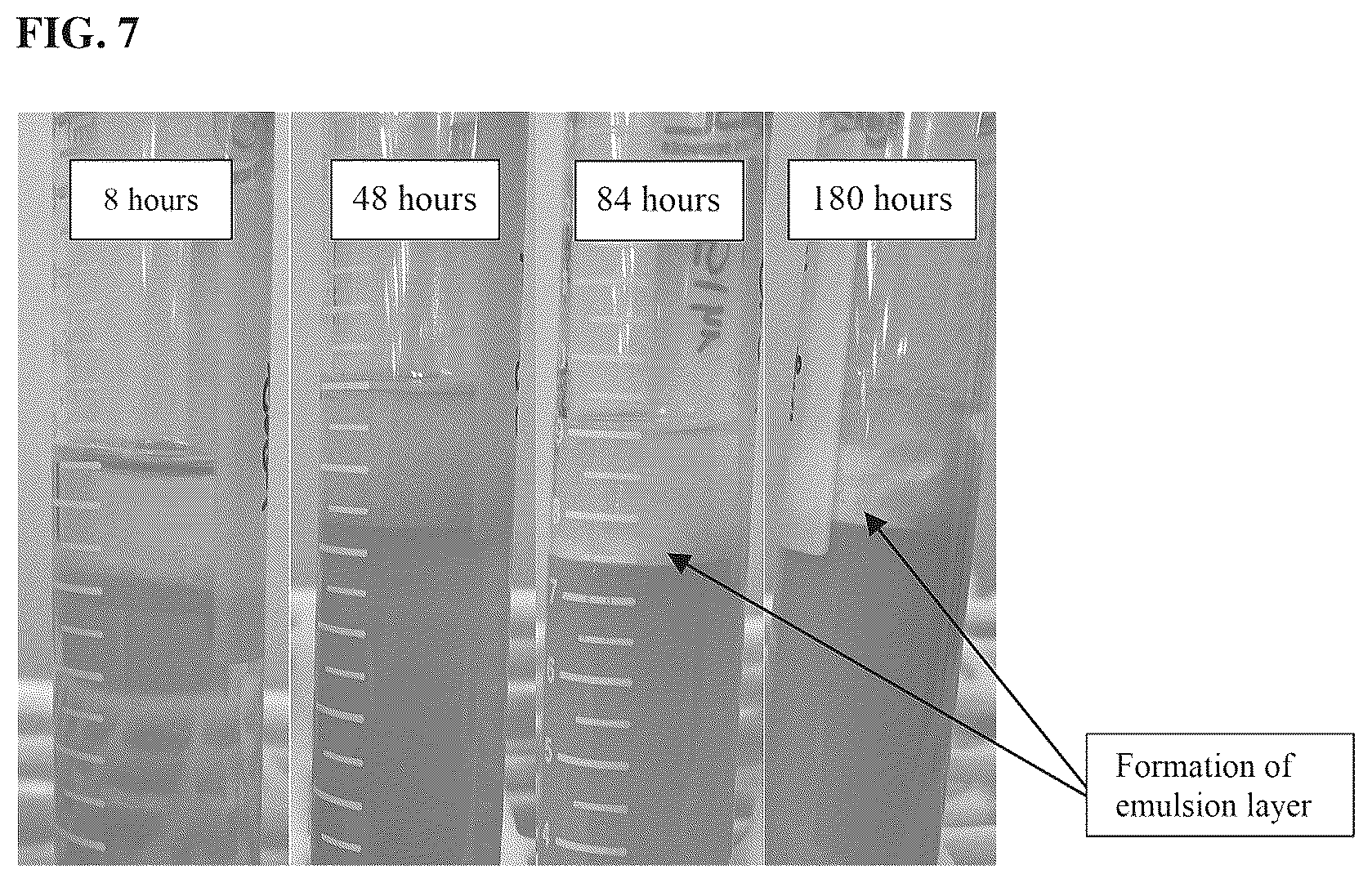 Patent US12576023 Figure 5 – Fermented nano-emulsifier composition and preparation method therefor
