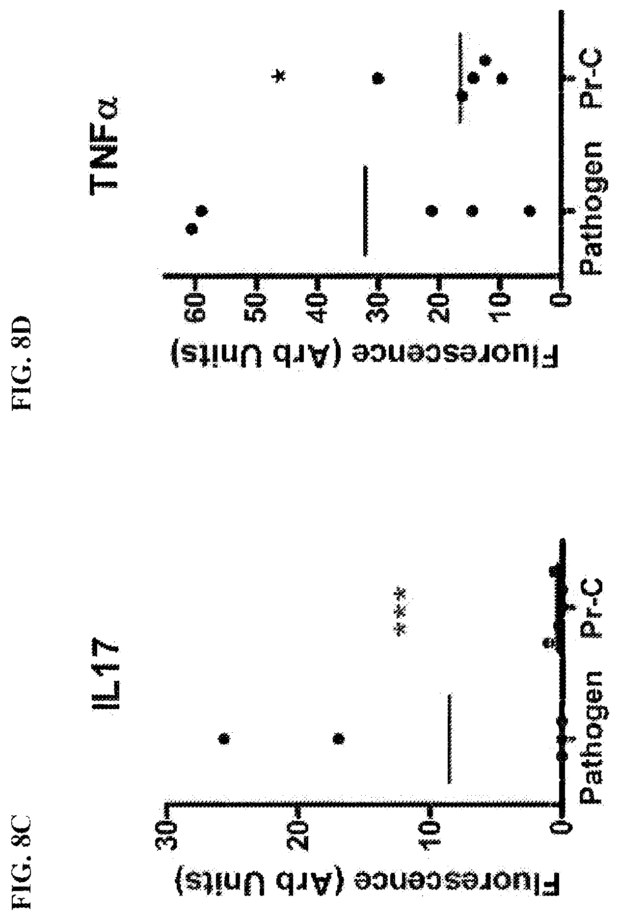 Patent US12576024 Figure 6 – Compositions comprising Propionibacterium acnes bacteriophages for treating acne