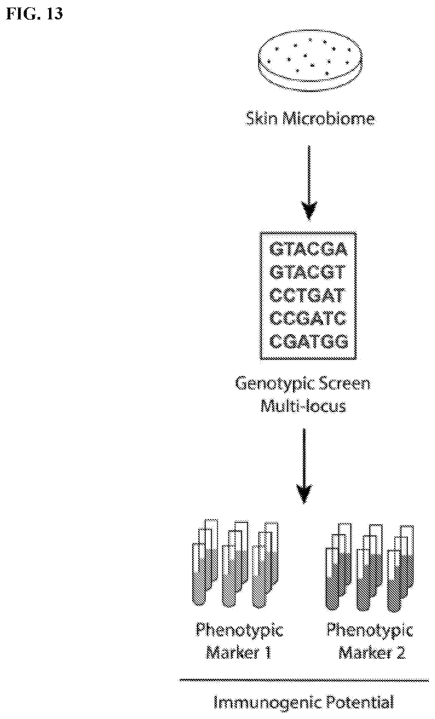 Patent US12576024 Figure 9 – Compositions comprising Propionibacterium acnes bacteriophages for treating acne