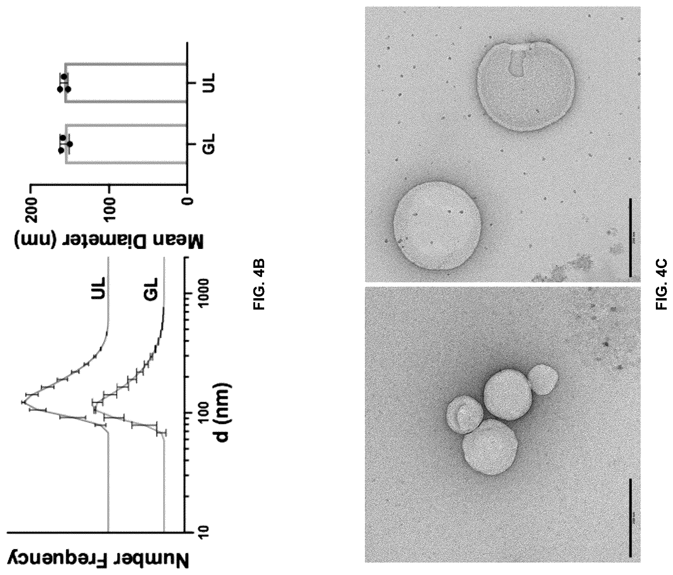 Patent US12576029 Figure 7 – Noncompetitive receptor-targeted vaccine delivery to plasmacytoid dendritic cells