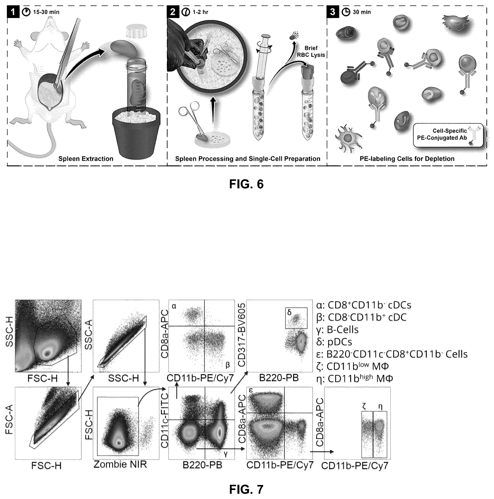 Patent US12576029 Figure 9 – Noncompetitive receptor-targeted vaccine delivery to plasmacytoid dendritic cells