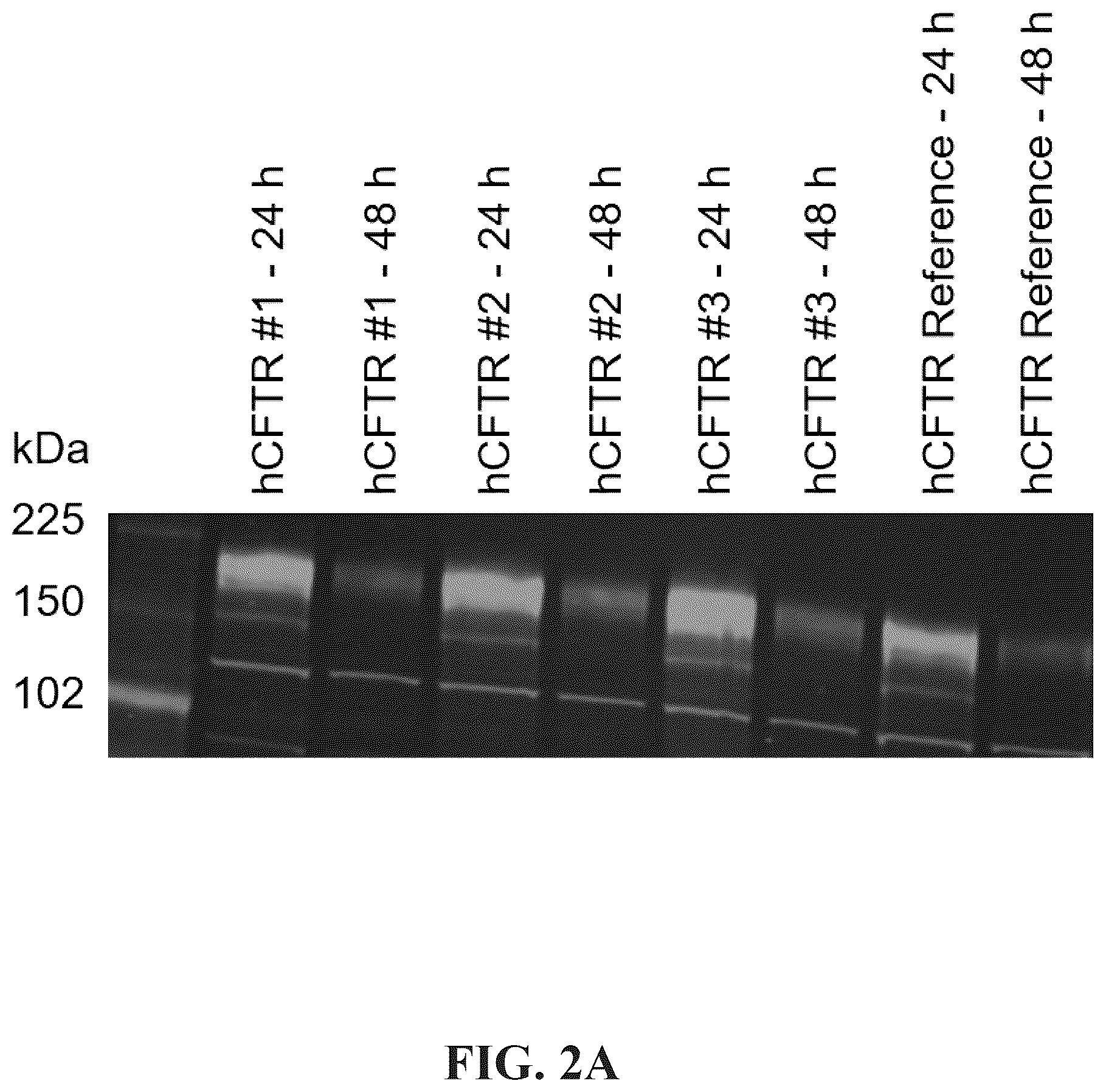 Patent US12576030 Figure 3 – Compositions for delivery of codon-optimized mRNA