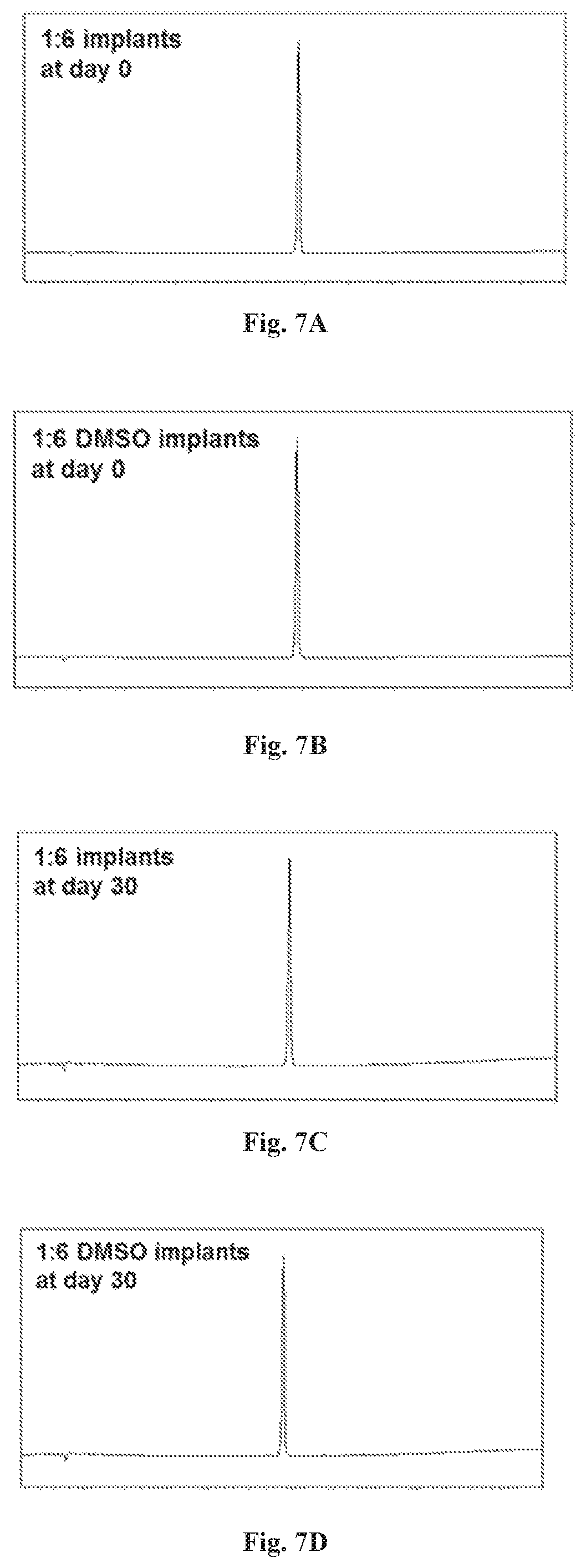Patent US12576035 Figure 6 – Polymeric implants with high drug loading and long-acting drug release and methods of making the same