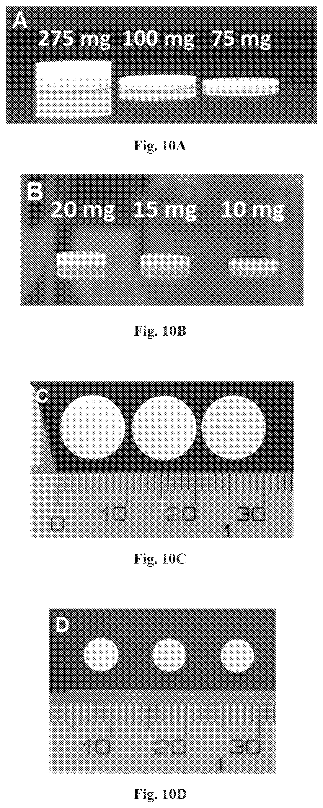 Patent US12576035 Figure 10 – Polymeric implants with high drug loading and long-acting drug release and methods of making the same