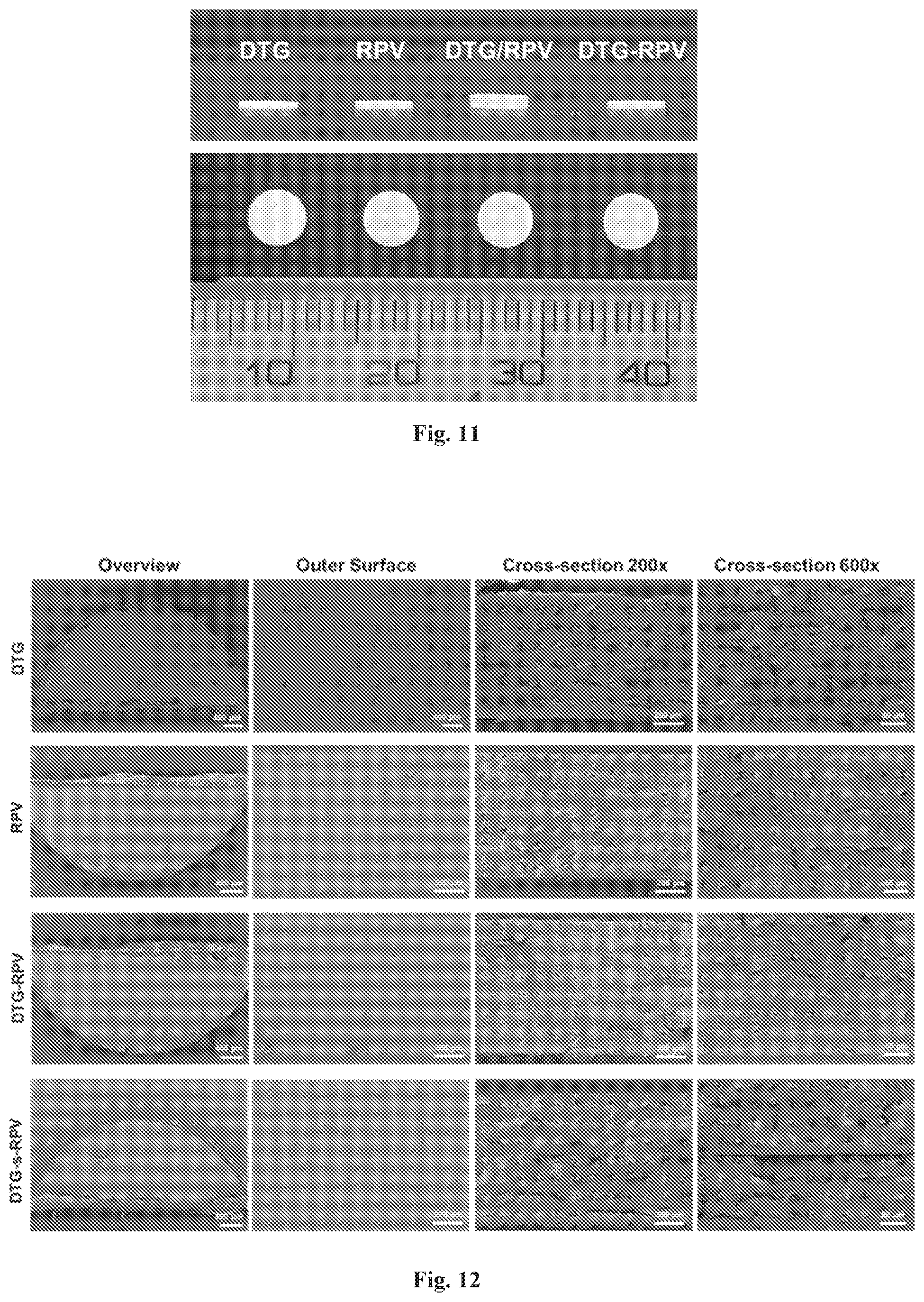Patent US12576035 Figure 11 – Polymeric implants with high drug loading and long-acting drug release and methods of making the same