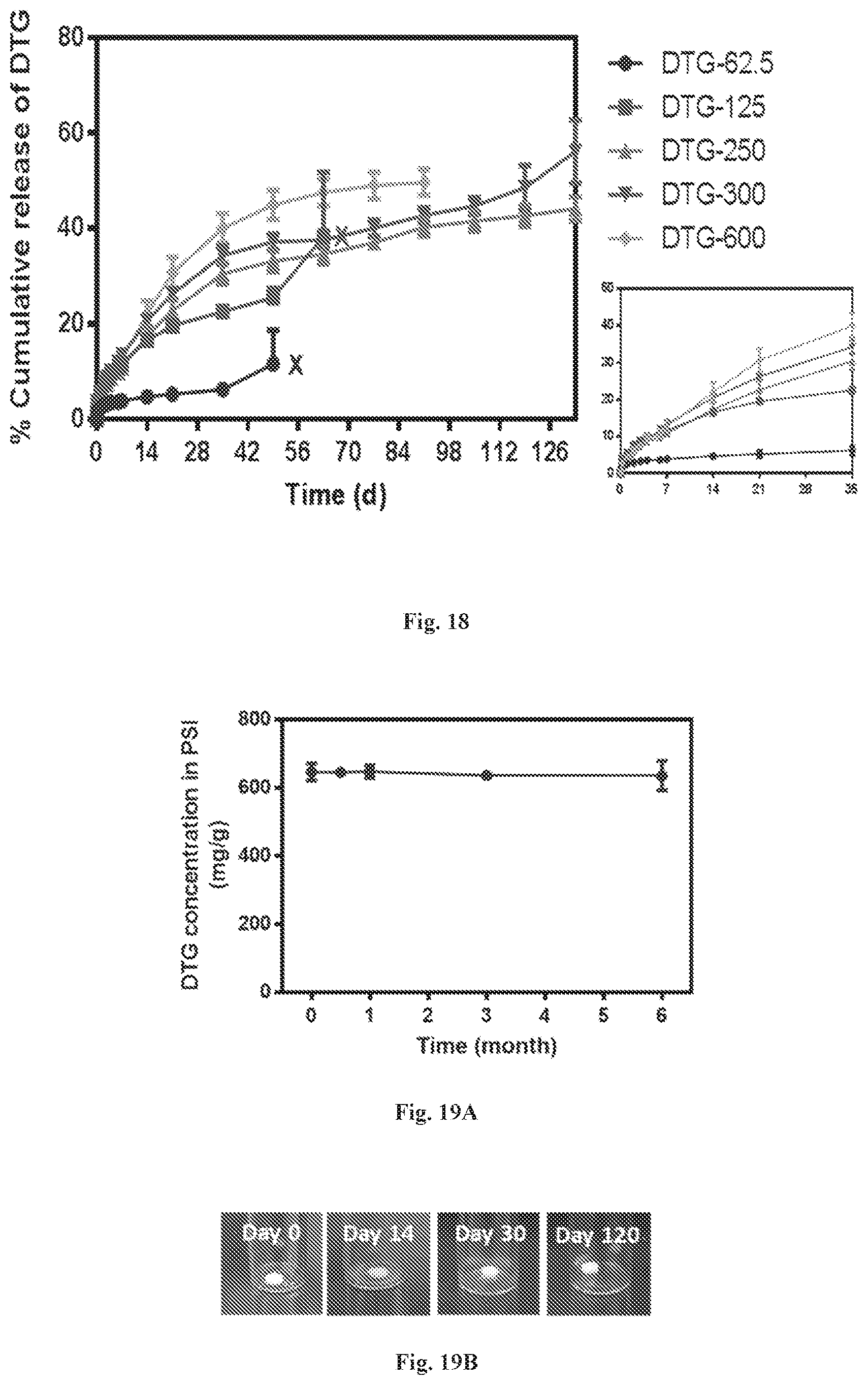 Patent US12576035 Figure 17 – Polymeric implants with high drug loading and long-acting drug release and methods of making the same