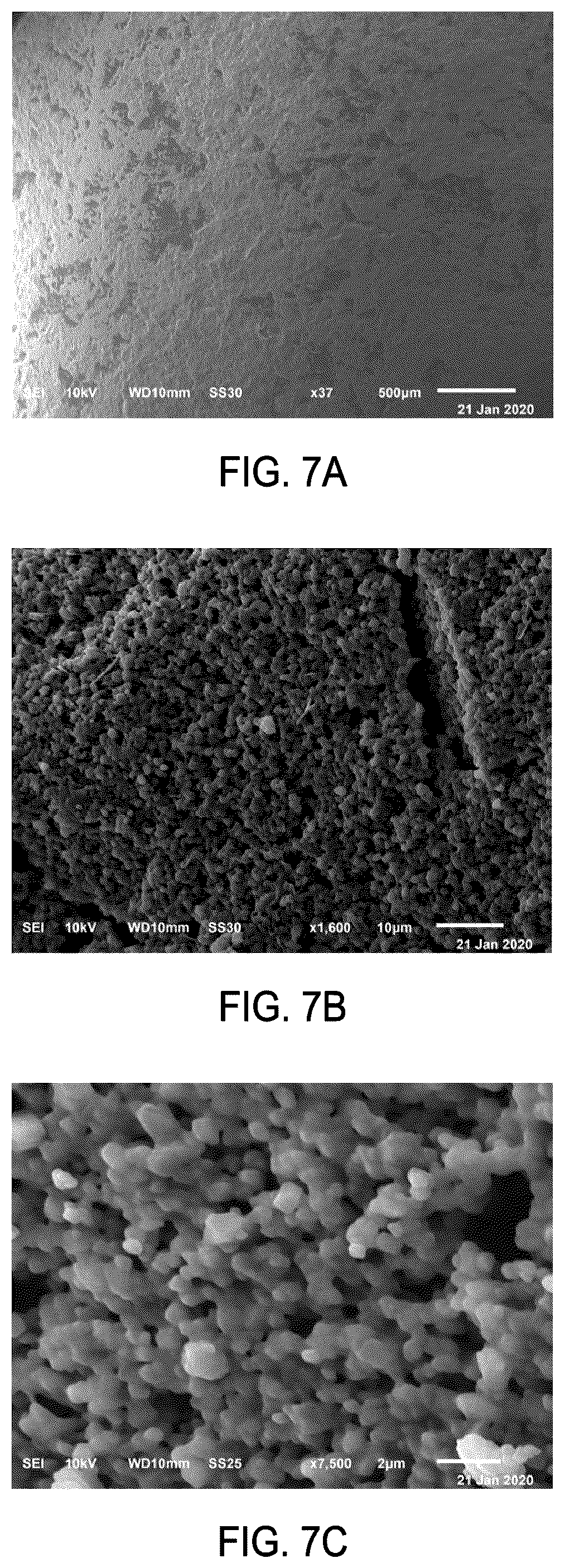 Patent US12576037 Figure 6 – Polymer-encapsulated drug particles