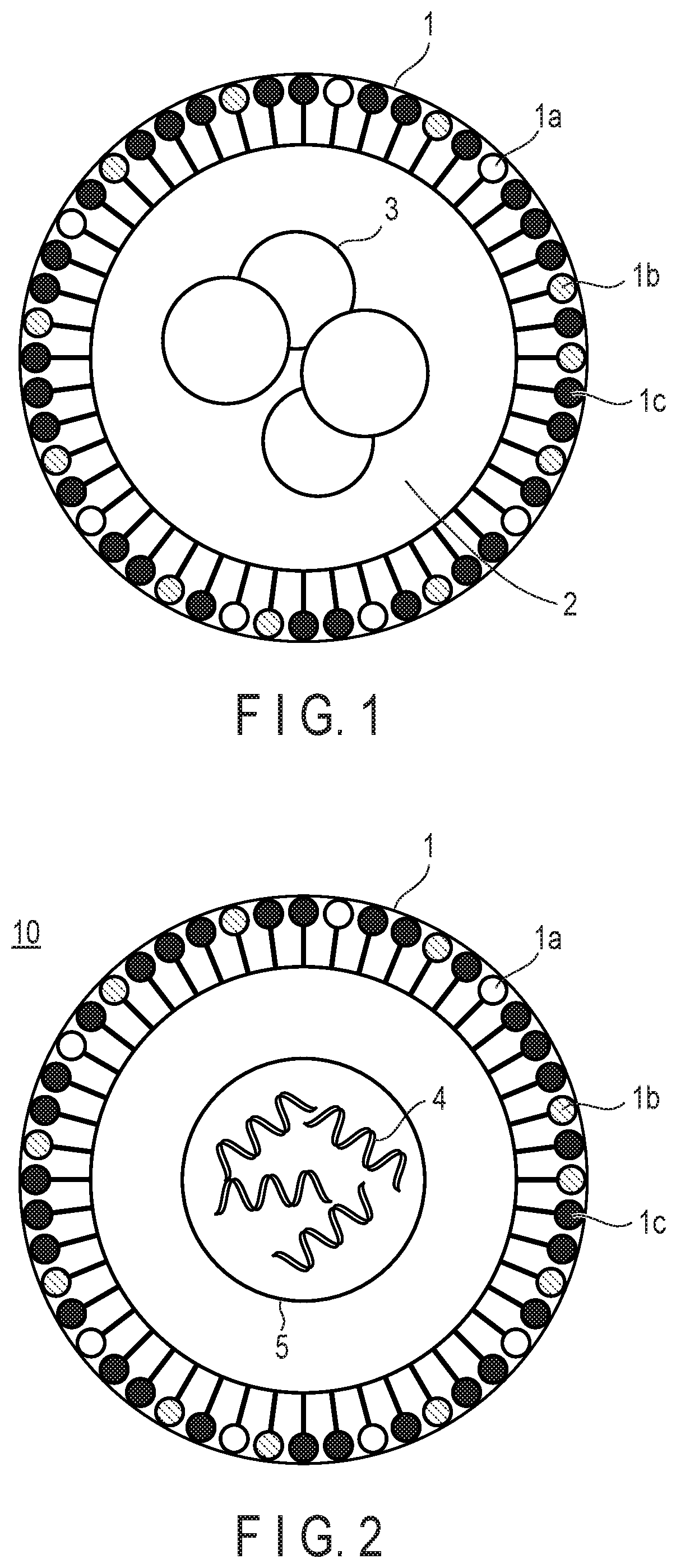 Patent US12576038 Figure 1 – Composition, lipid particle manufacturing kit, substance delivery method, and detection method