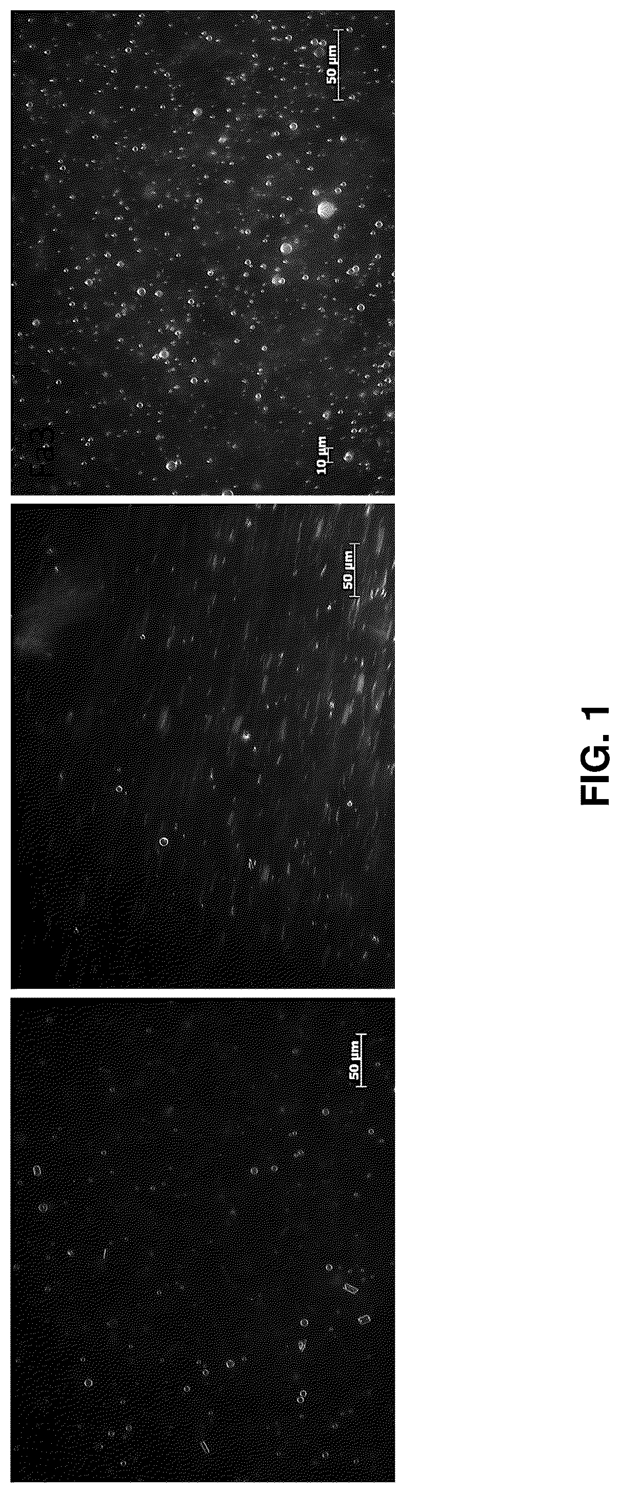 Patent US12576039 — Lipid-polymer compositions and methods of use — Figure 1