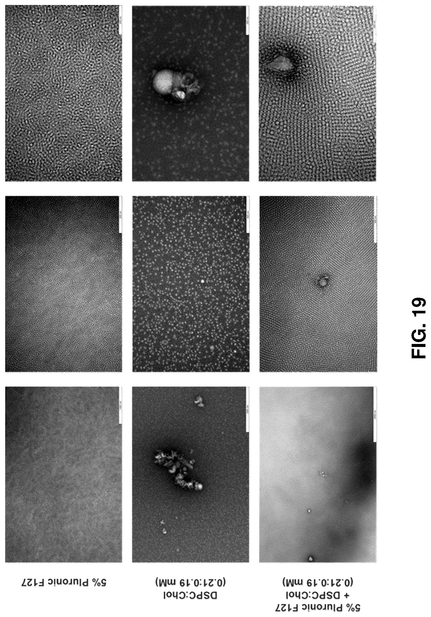 Patent US12576039 Figure 19 – Lipid-polymer compositions and methods of use