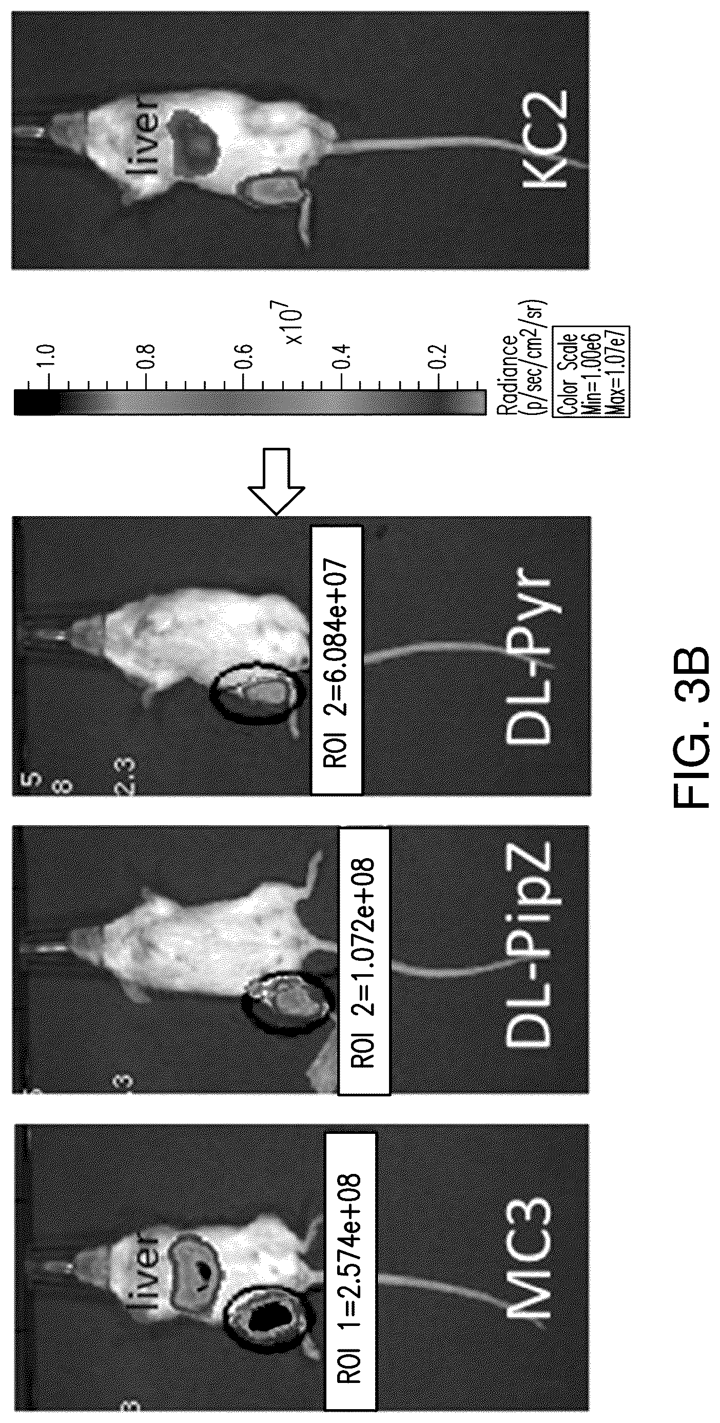 Patent US12576040 Figure 5 – Ionizable lipids and methods of manufacture and use thereof