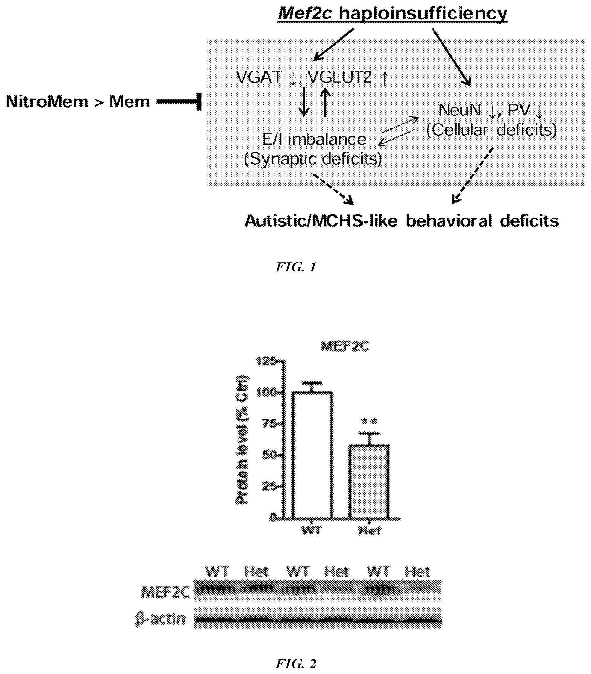 Patent US12576042 — Methods and compositions for treating neurological conditions — Figure 1