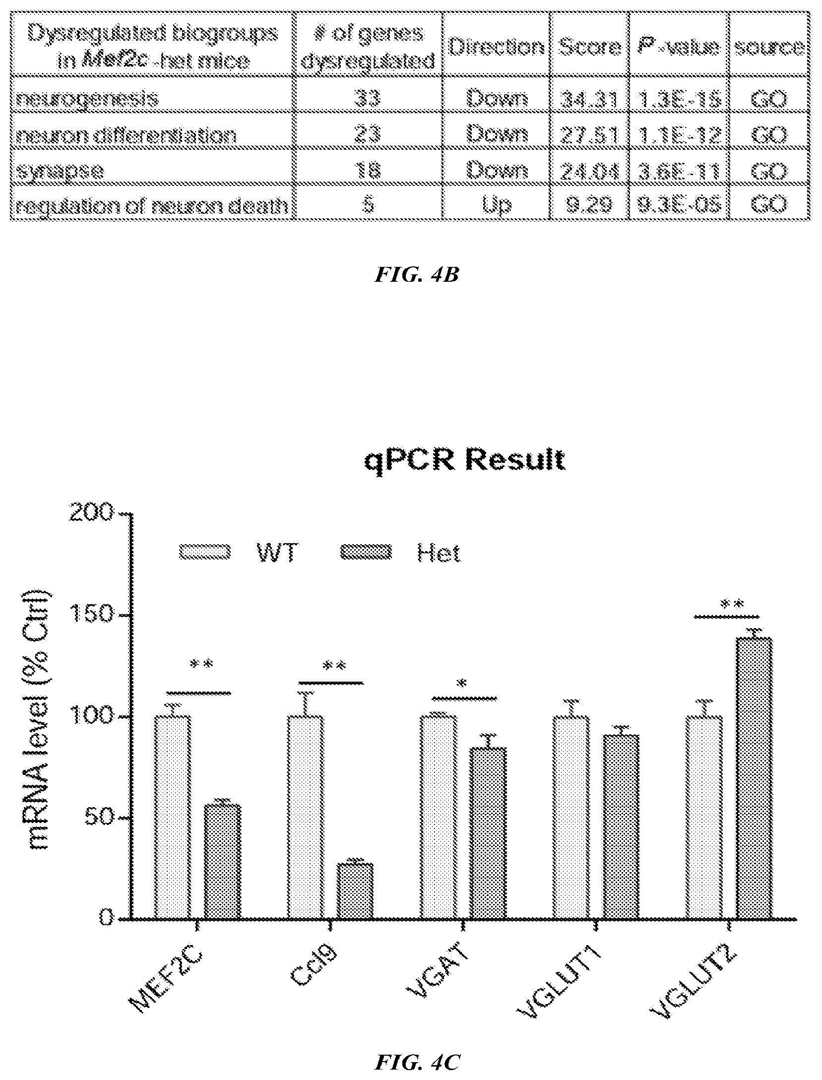Patent US12576042 Figure 5 – Methods and compositions for treating neurological conditions
