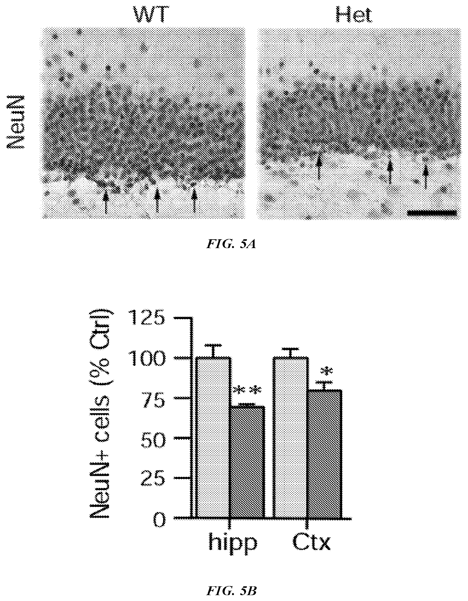 Patent US12576042 Figure 6 – Methods and compositions for treating neurological conditions