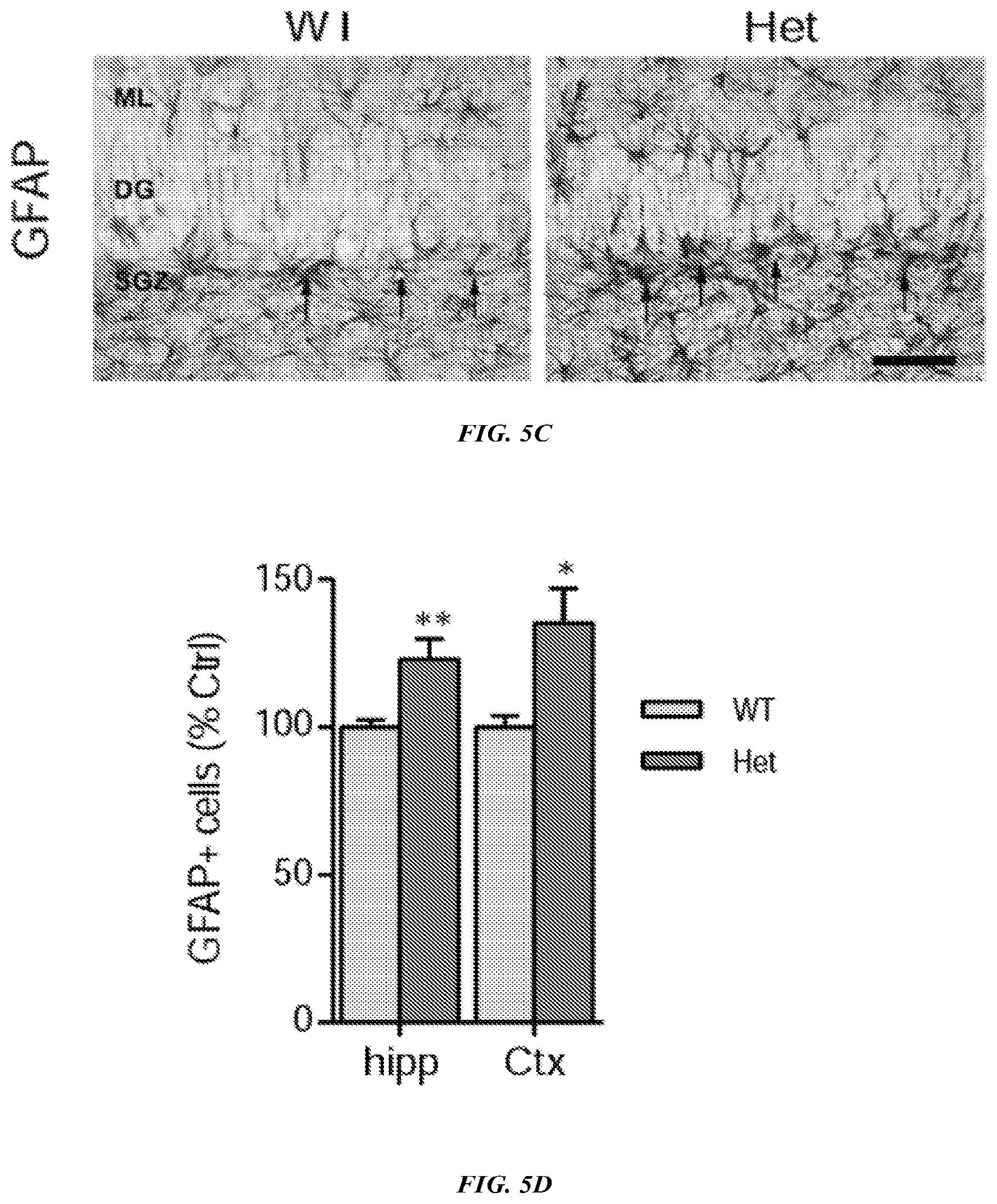 Patent US12576042 Figure 7 – Methods and compositions for treating neurological conditions