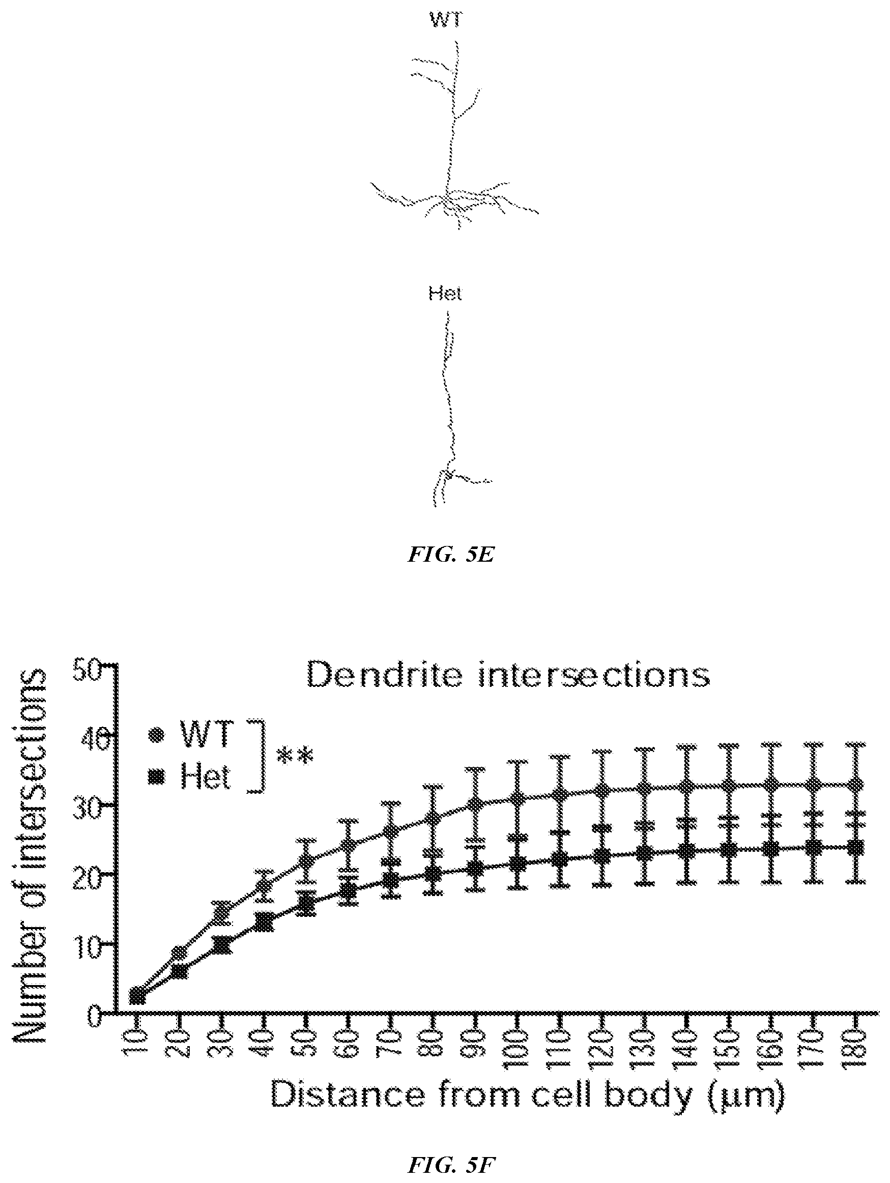 Patent US12576042 Figure 8 – Methods and compositions for treating neurological conditions
