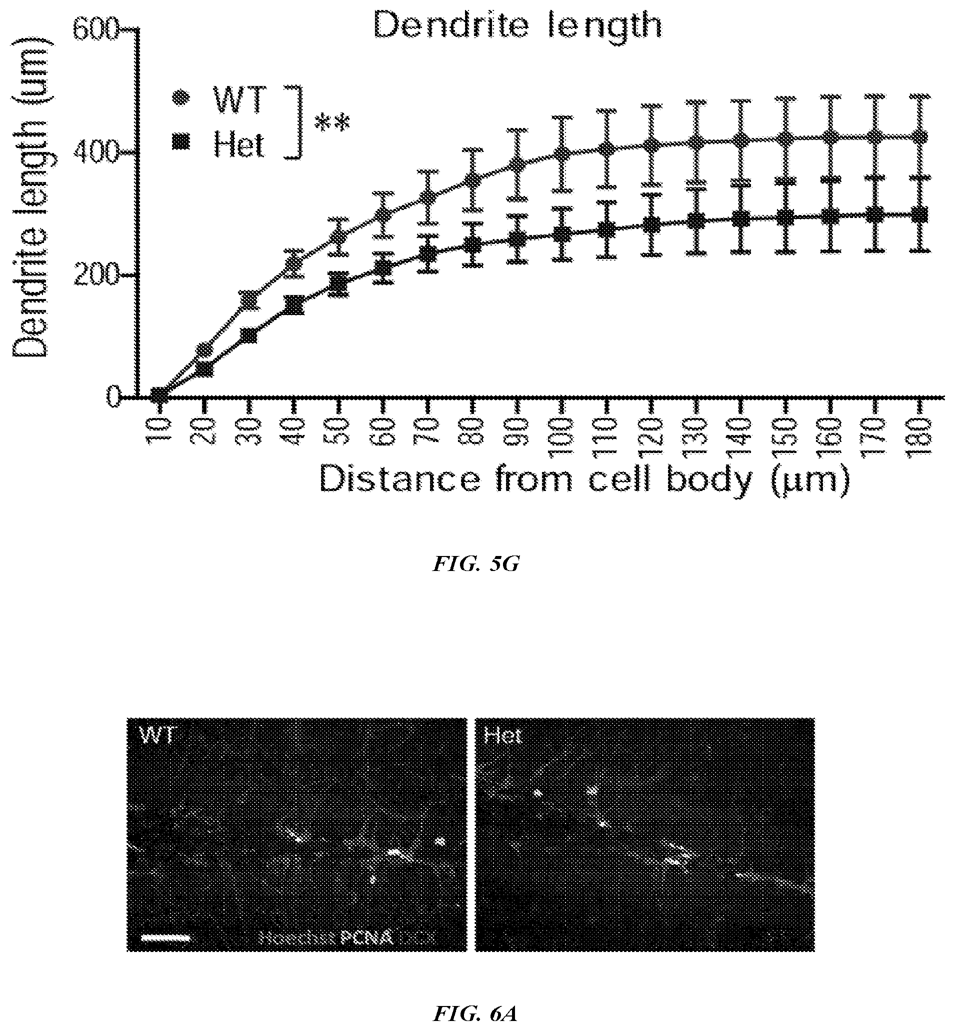 Patent US12576042 Figure 9 – Methods and compositions for treating neurological conditions