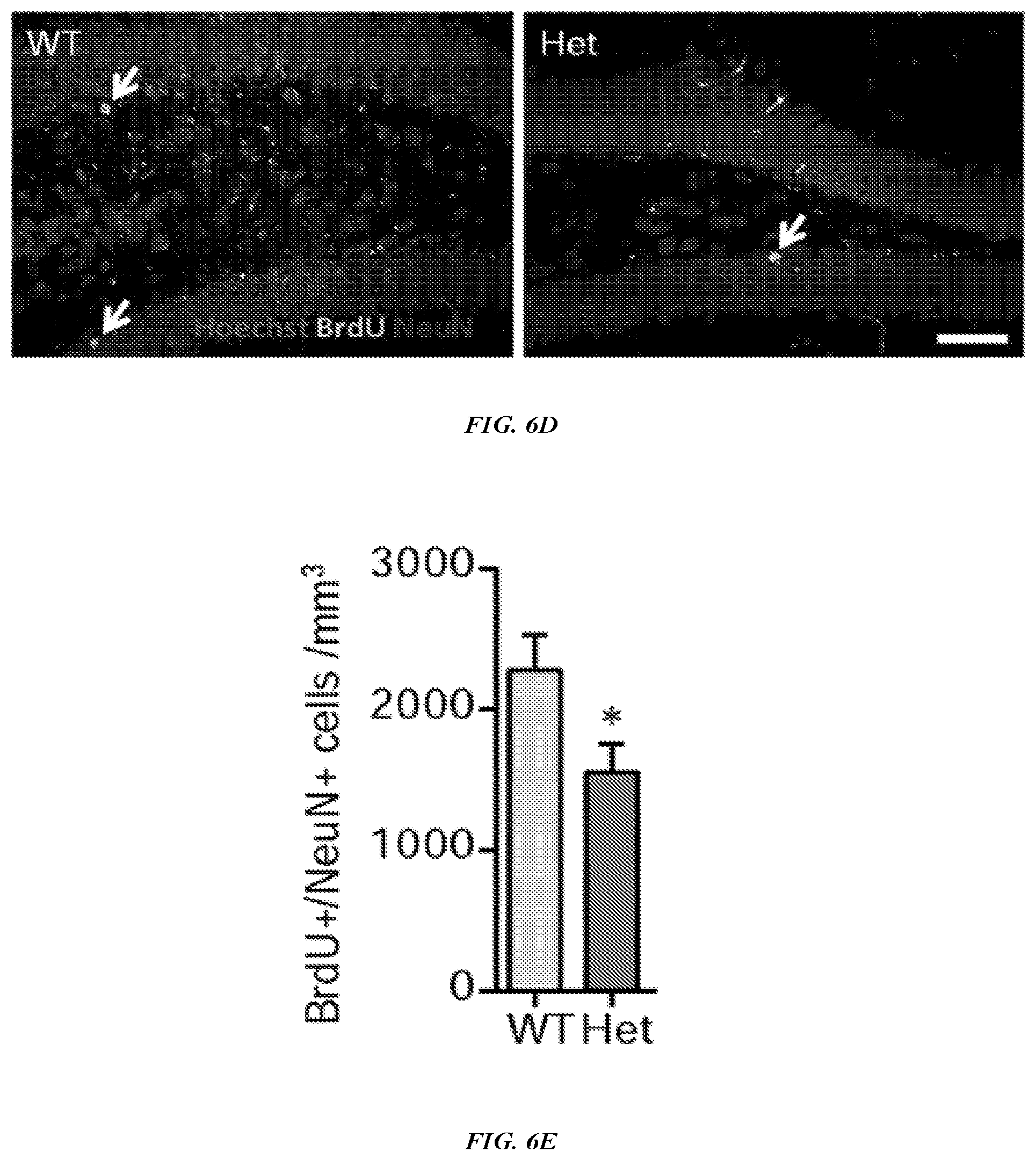 Patent US12576042 Figure 11 – Methods and compositions for treating neurological conditions