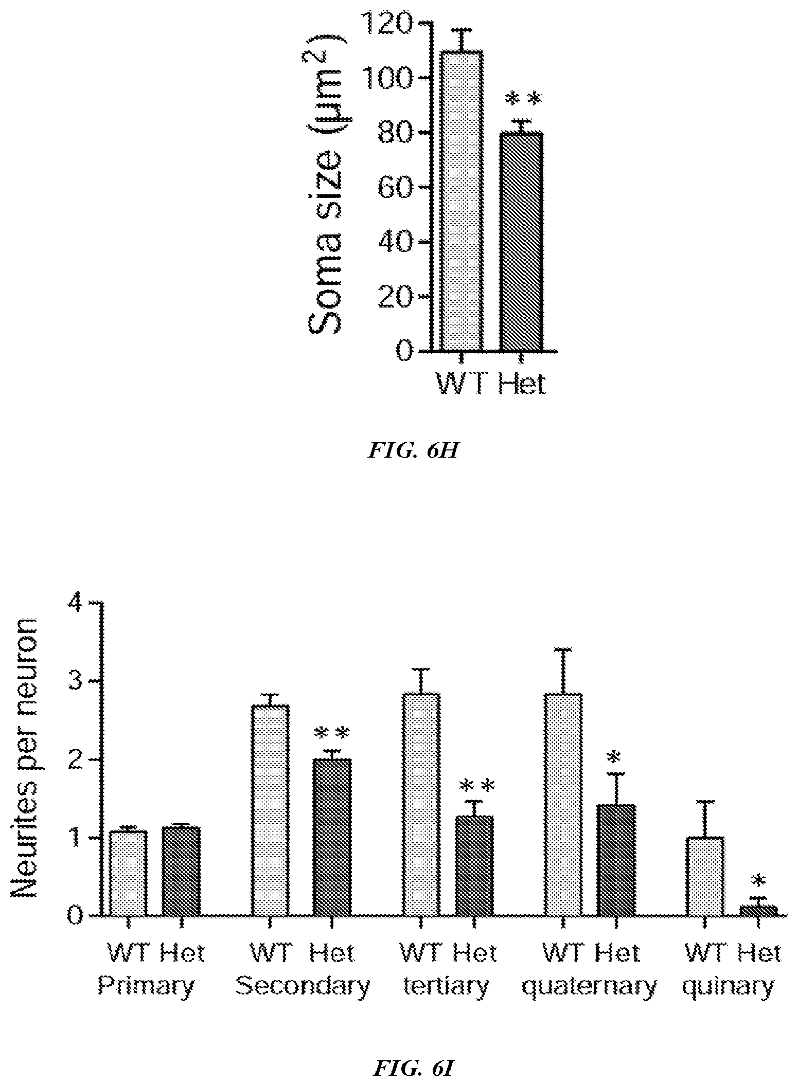 Patent US12576042 Figure 13 – Methods and compositions for treating neurological conditions