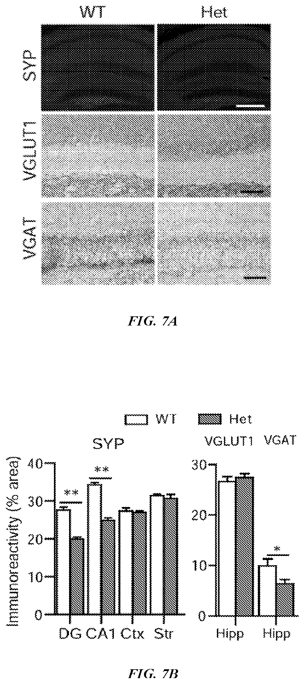 Patent US12576042 Figure 14 – Methods and compositions for treating neurological conditions