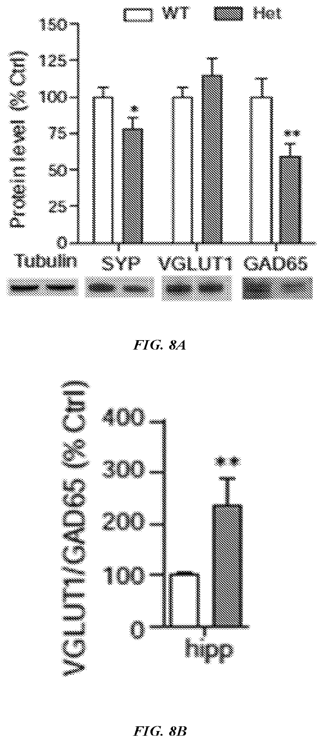Patent US12576042 Figure 18 – Methods and compositions for treating neurological conditions