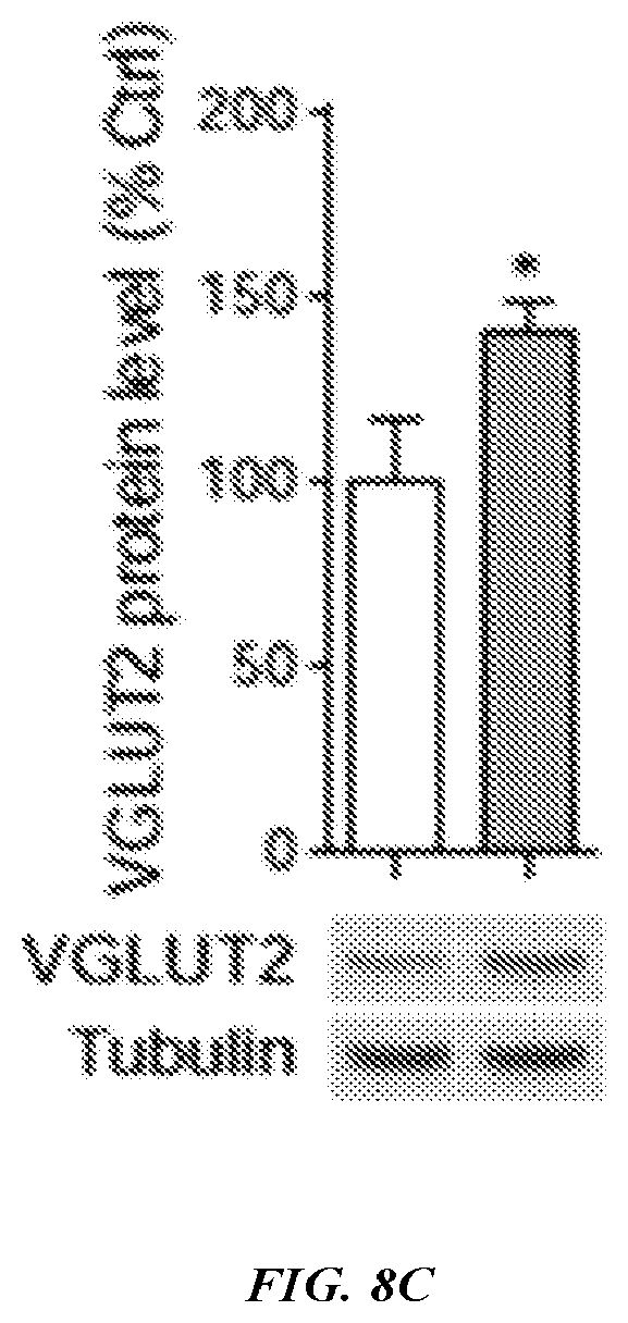Patent US12576042 Figure 19 – Methods and compositions for treating neurological conditions