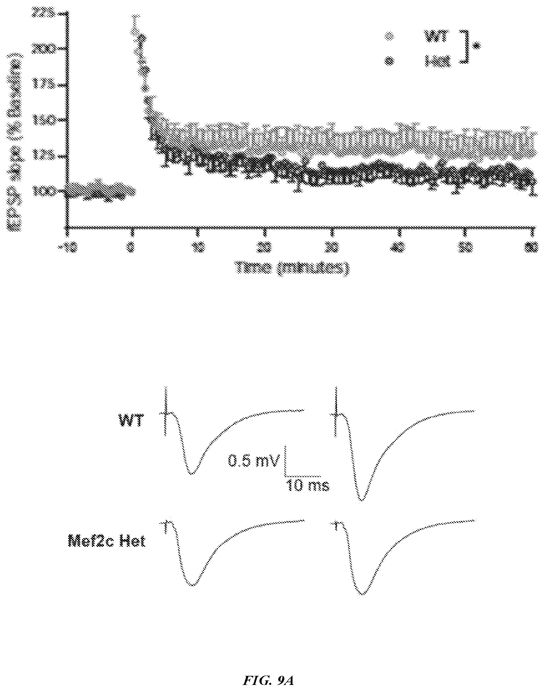 Patent US12576042 Figure 20 – Methods and compositions for treating neurological conditions