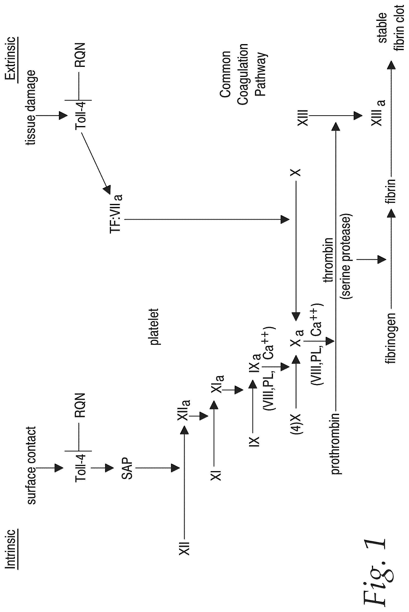 Patent US12576044 Figure 1 – Treatment of Alzheimer's disease