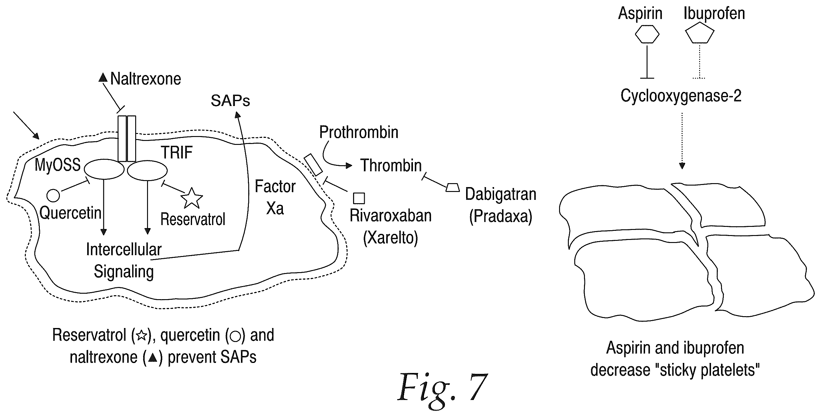Patent US12576044 Figure 7 – Treatment of Alzheimer's disease