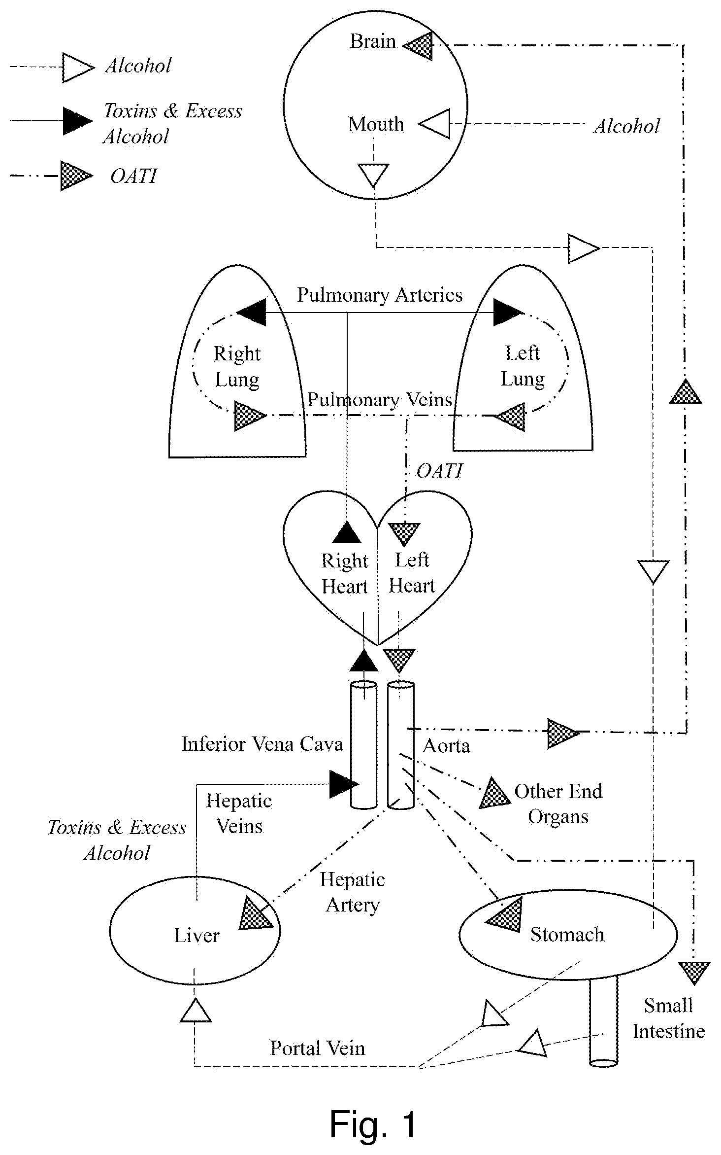 Patent US12576045 Figure 1 – Methods and nutraceutical compositions for the prevention and/or mitigation of veisalgia