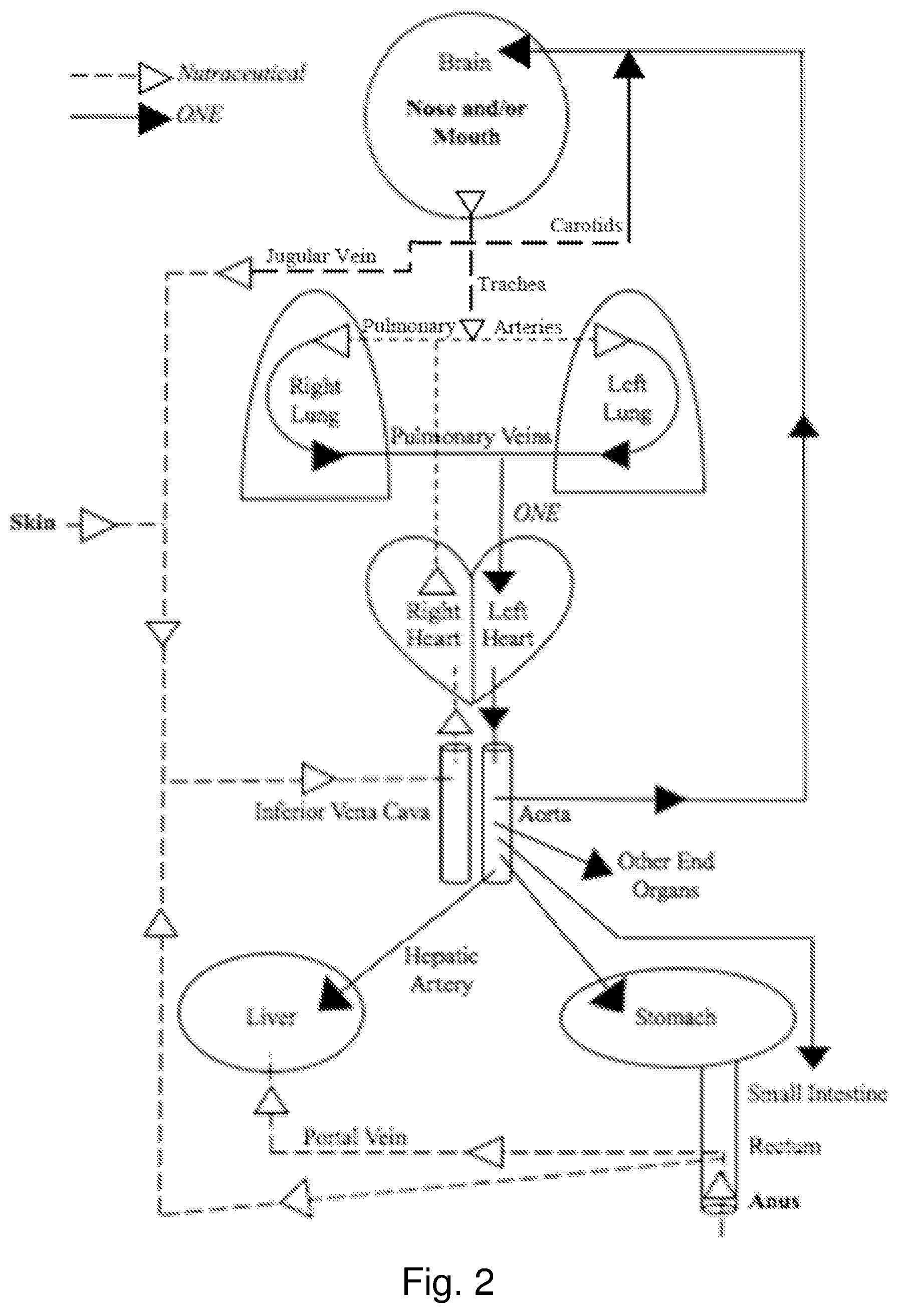 Patent US12576045 Figure 2 – Methods and nutraceutical compositions for the prevention and/or mitigation of veisalgia