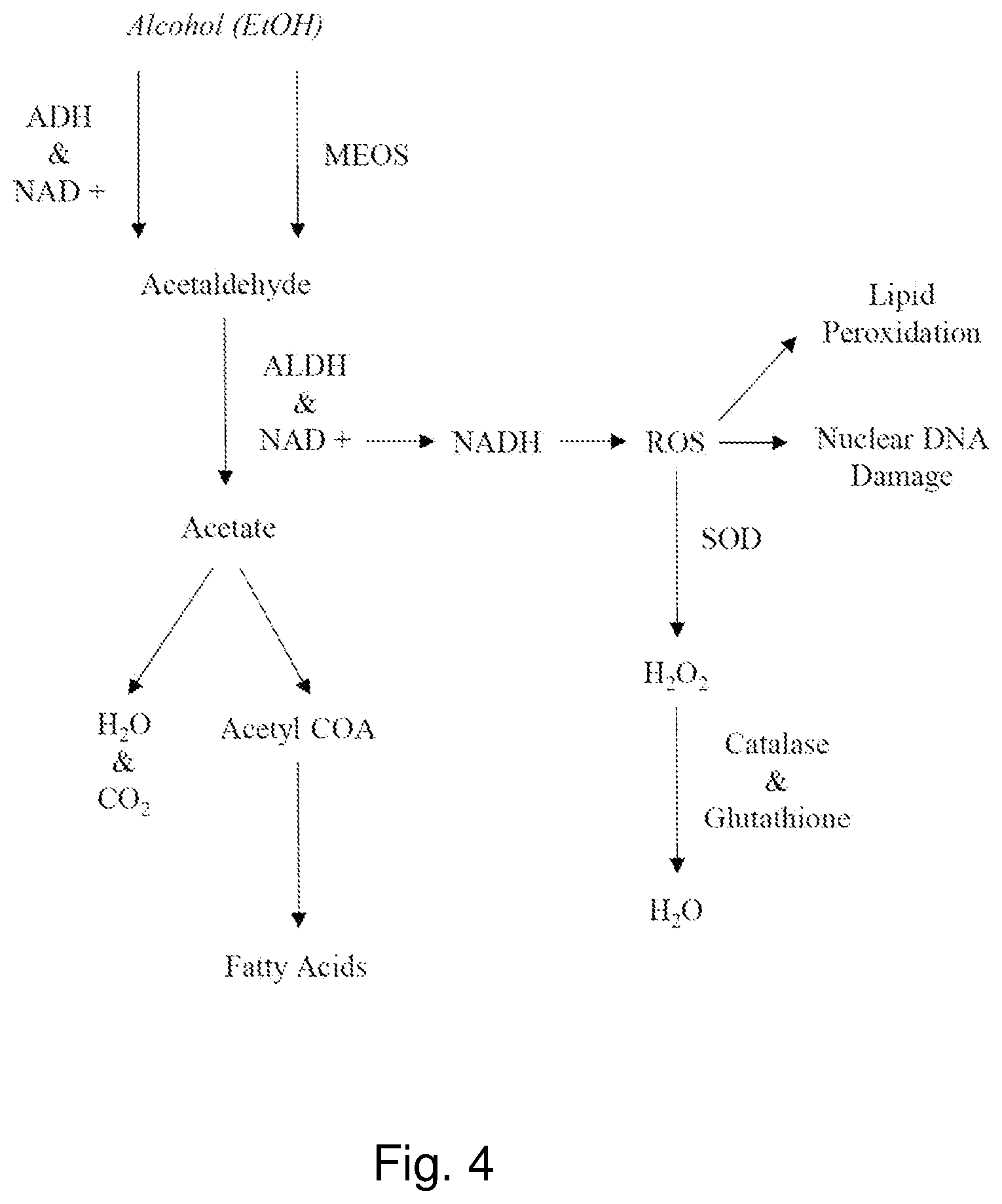 Patent US12576045 Figure 4 – Methods and nutraceutical compositions for the prevention and/or mitigation of veisalgia