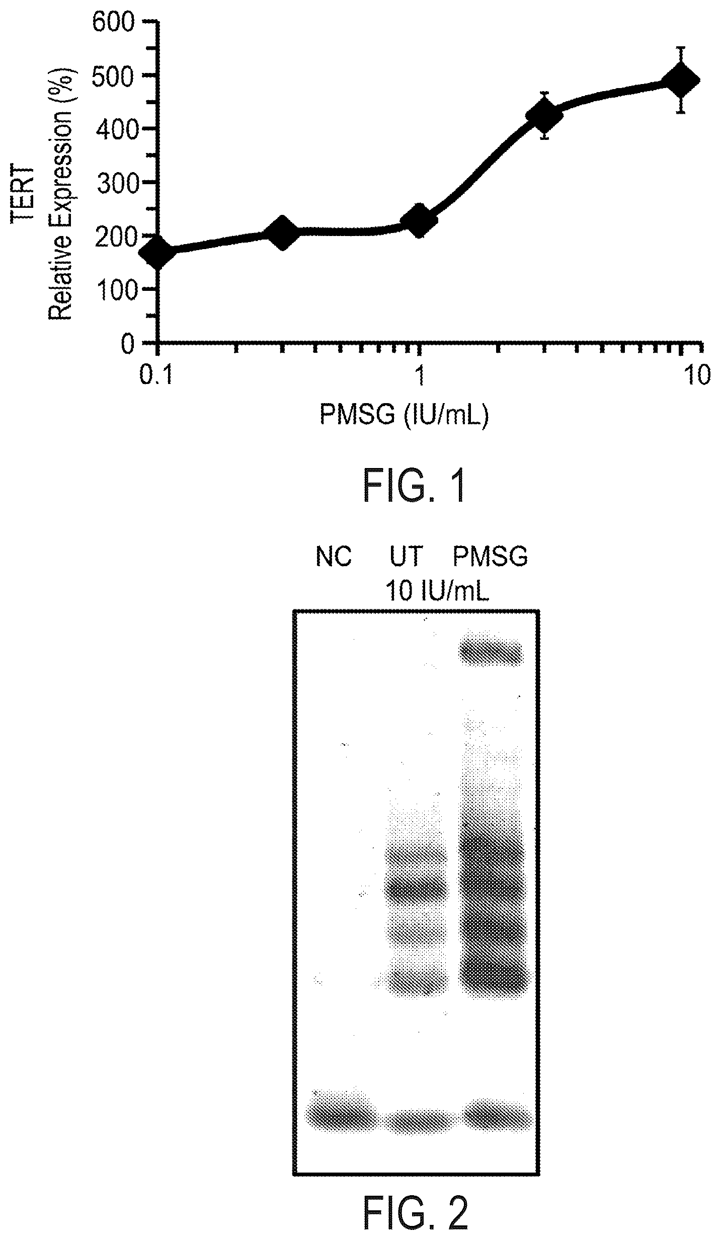 Patent US12576047 — Telomerase activating compounds for use in fertility and related applications — Figure 1