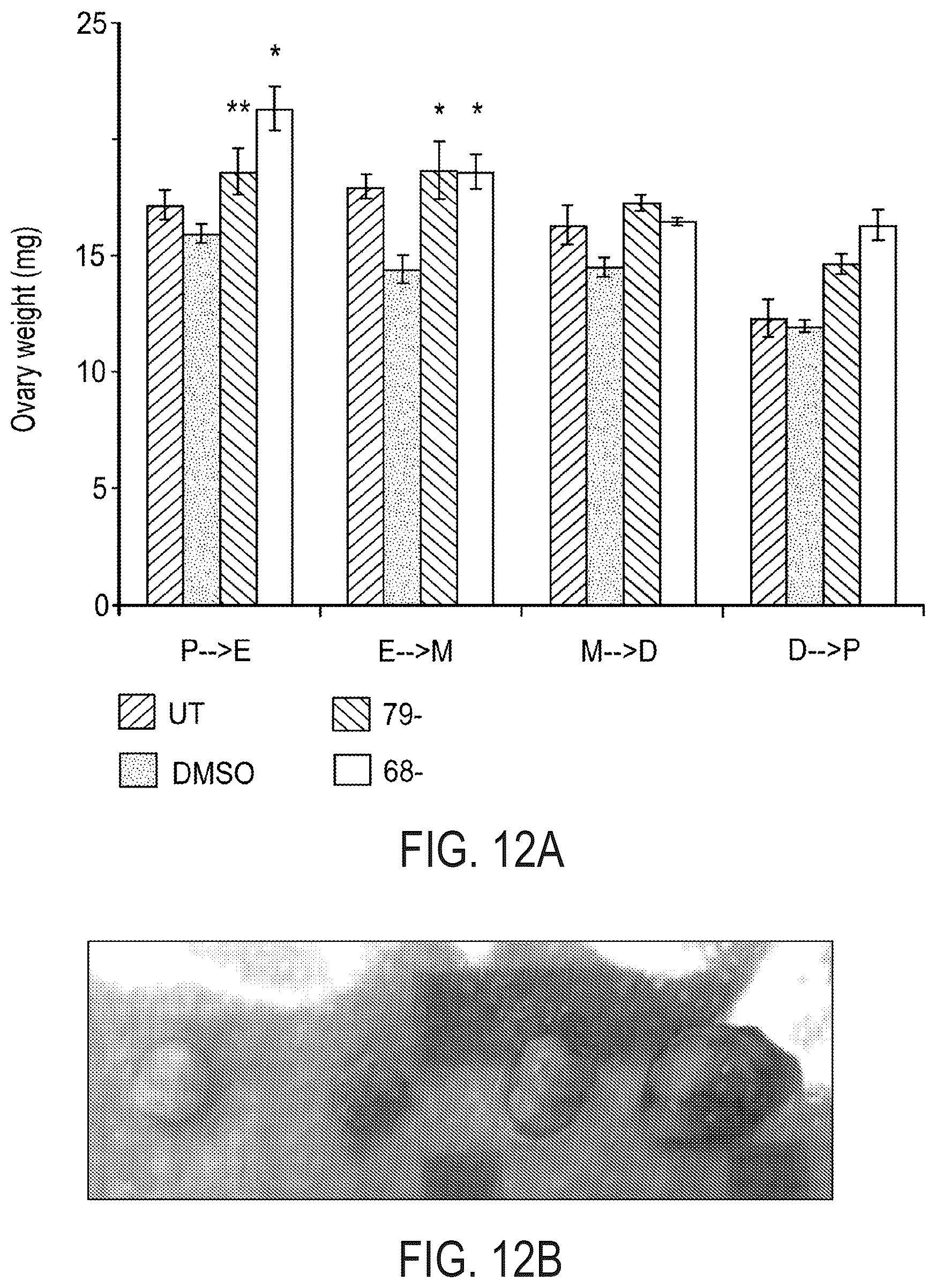 Patent US12576047 Figure 8 – Telomerase activating compounds for use in fertility and related applications