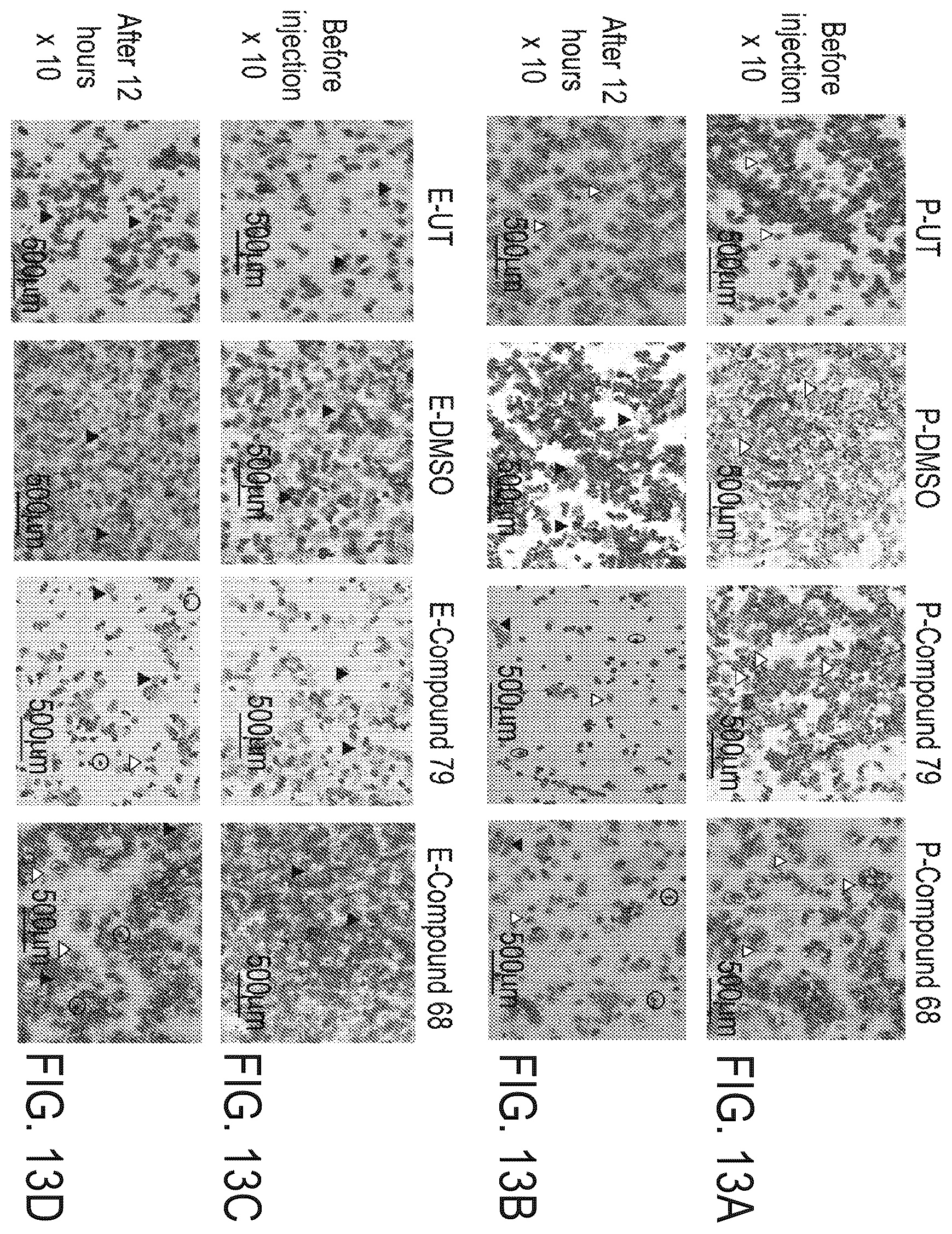Patent US12576047 Figure 9 – Telomerase activating compounds for use in fertility and related applications