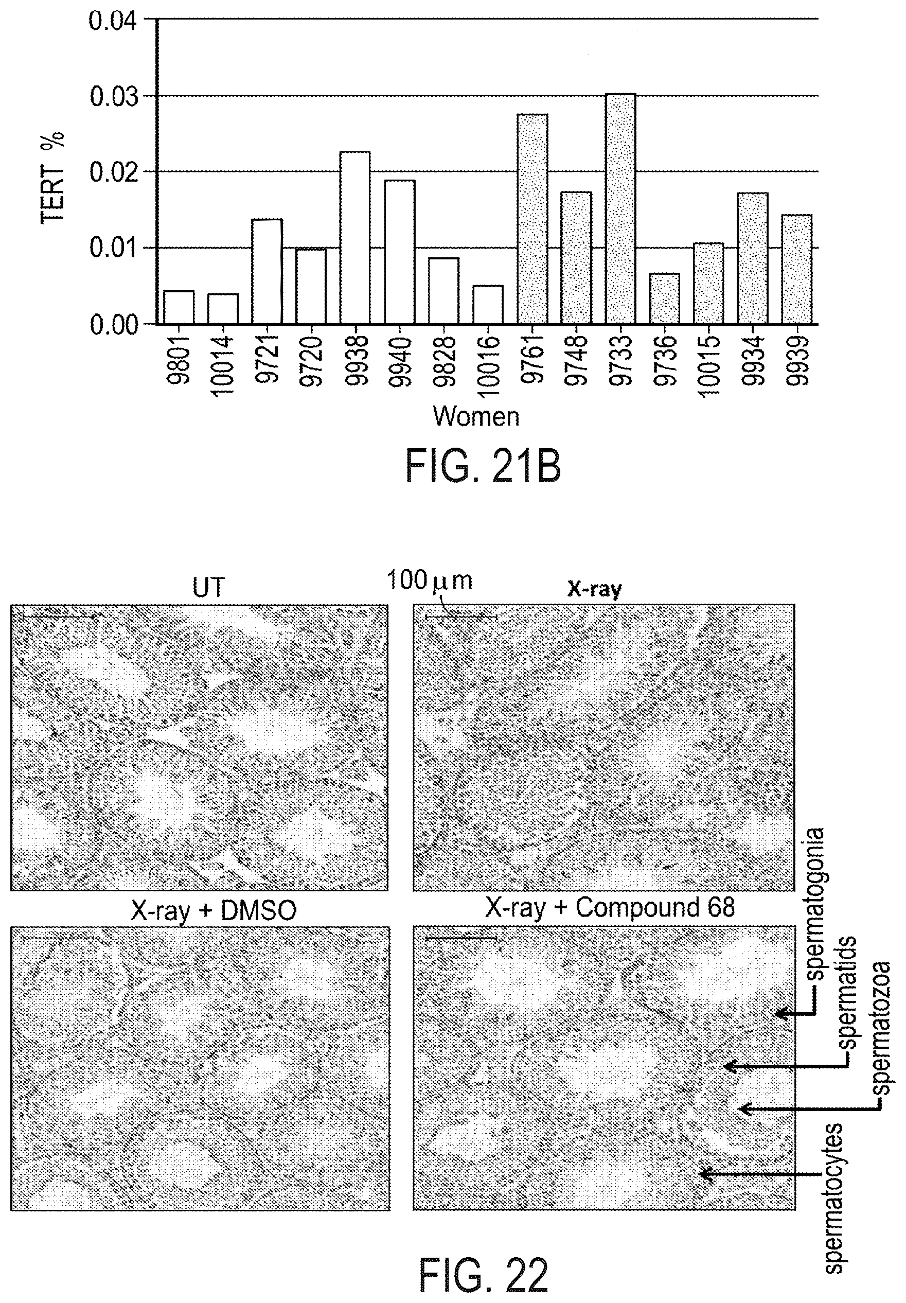 Patent US12576047 Figure 17 – Telomerase activating compounds for use in fertility and related applications