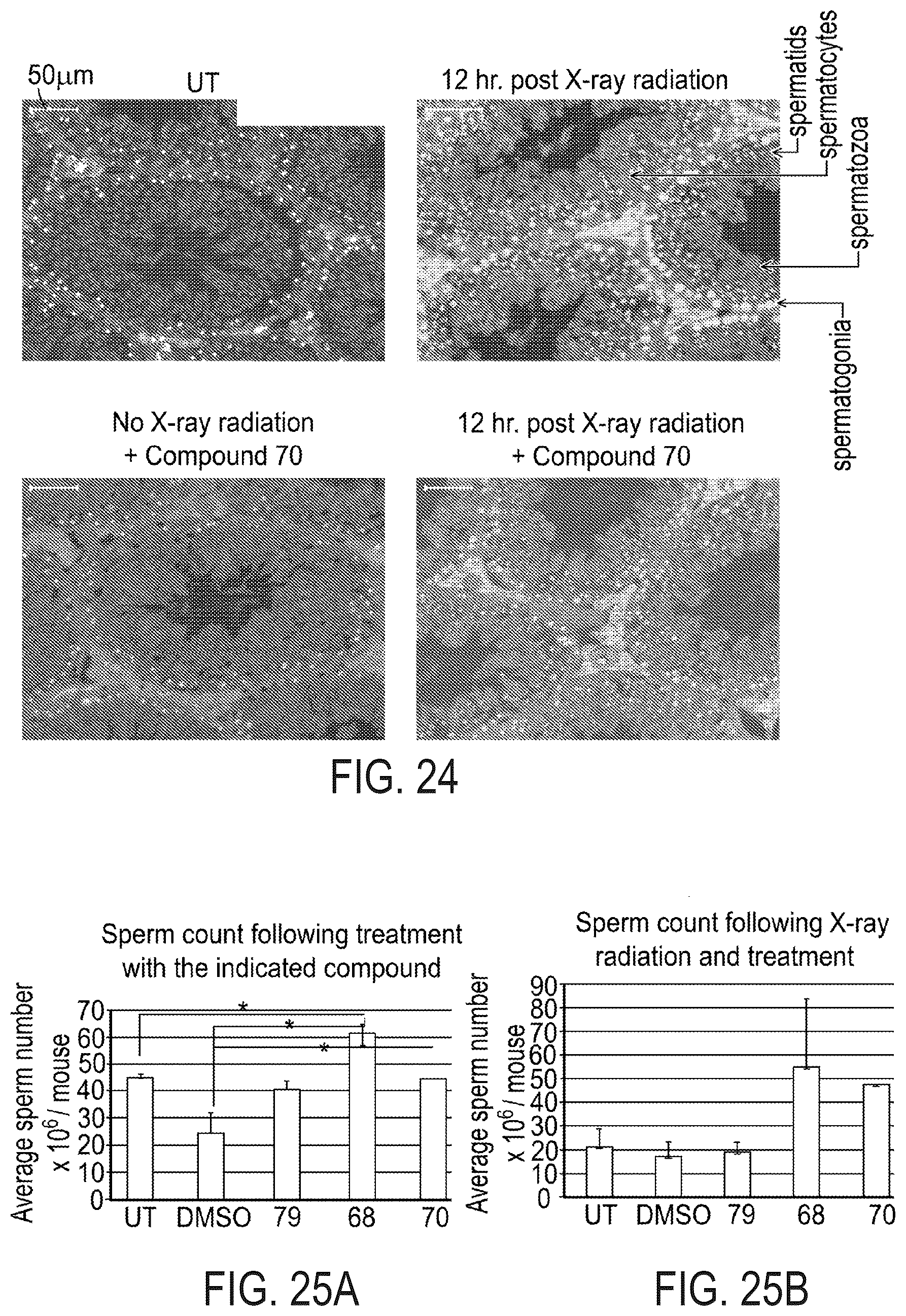 Patent US12576047 Figure 20 – Telomerase activating compounds for use in fertility and related applications