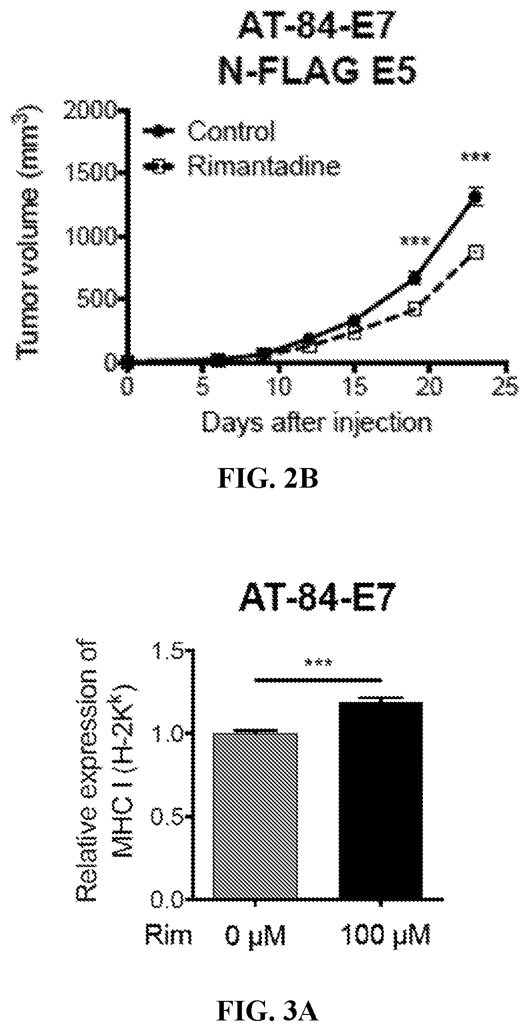 Patent US12576048 Figure 4 – Anti-cancer activity of adamantane derivatives