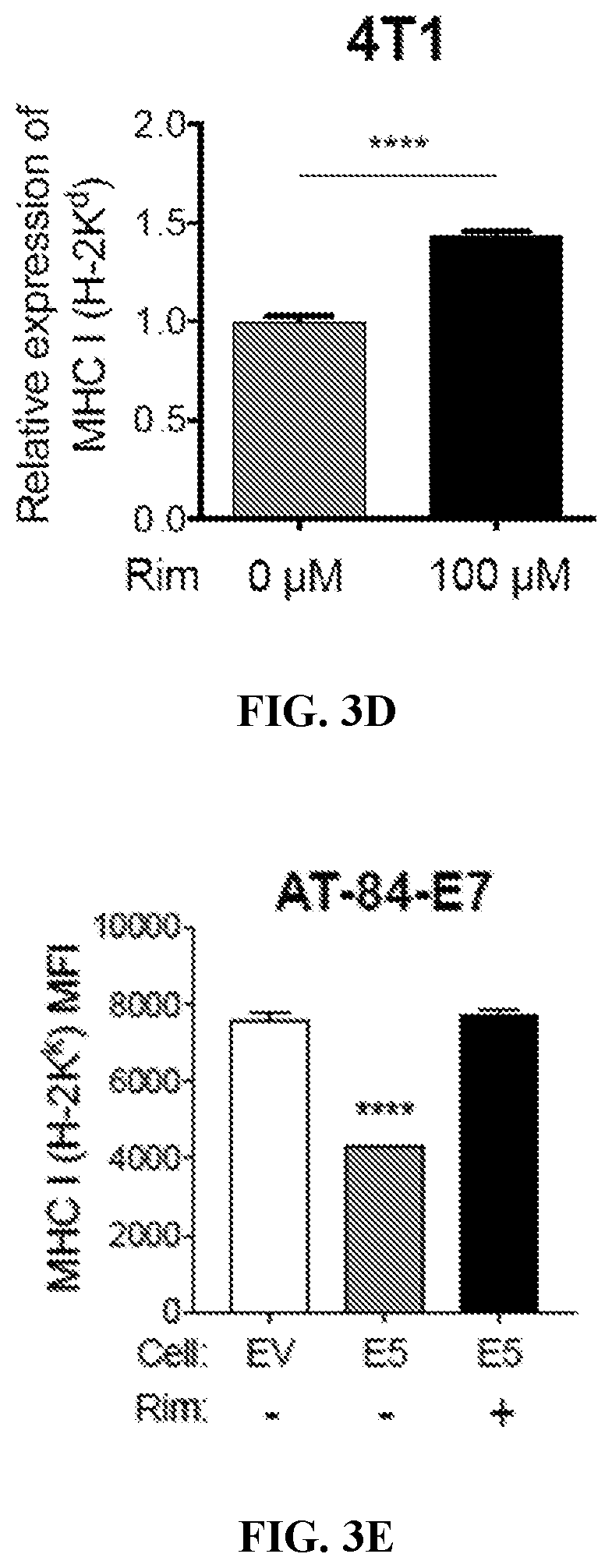 Patent US12576048 Figure 6 – Anti-cancer activity of adamantane derivatives