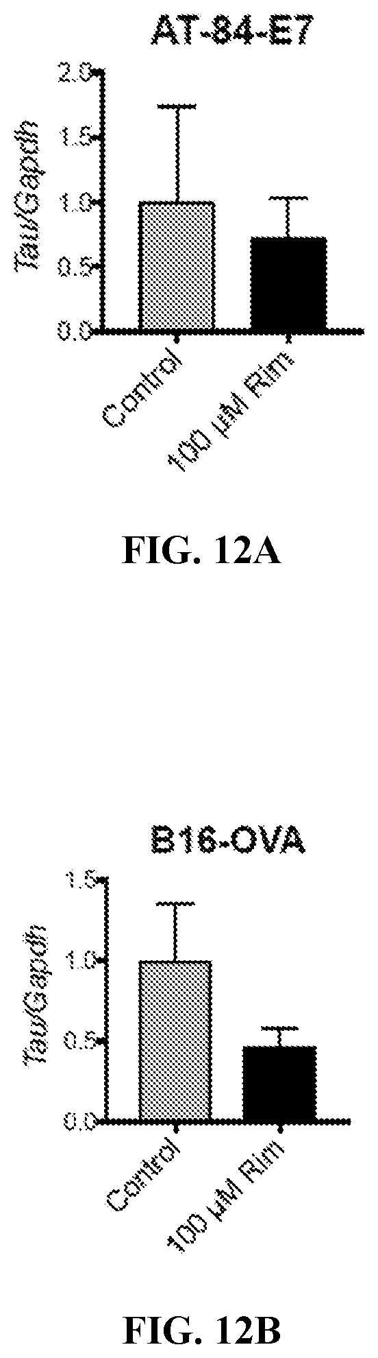 Patent US12576048 Figure 15 – Anti-cancer activity of adamantane derivatives