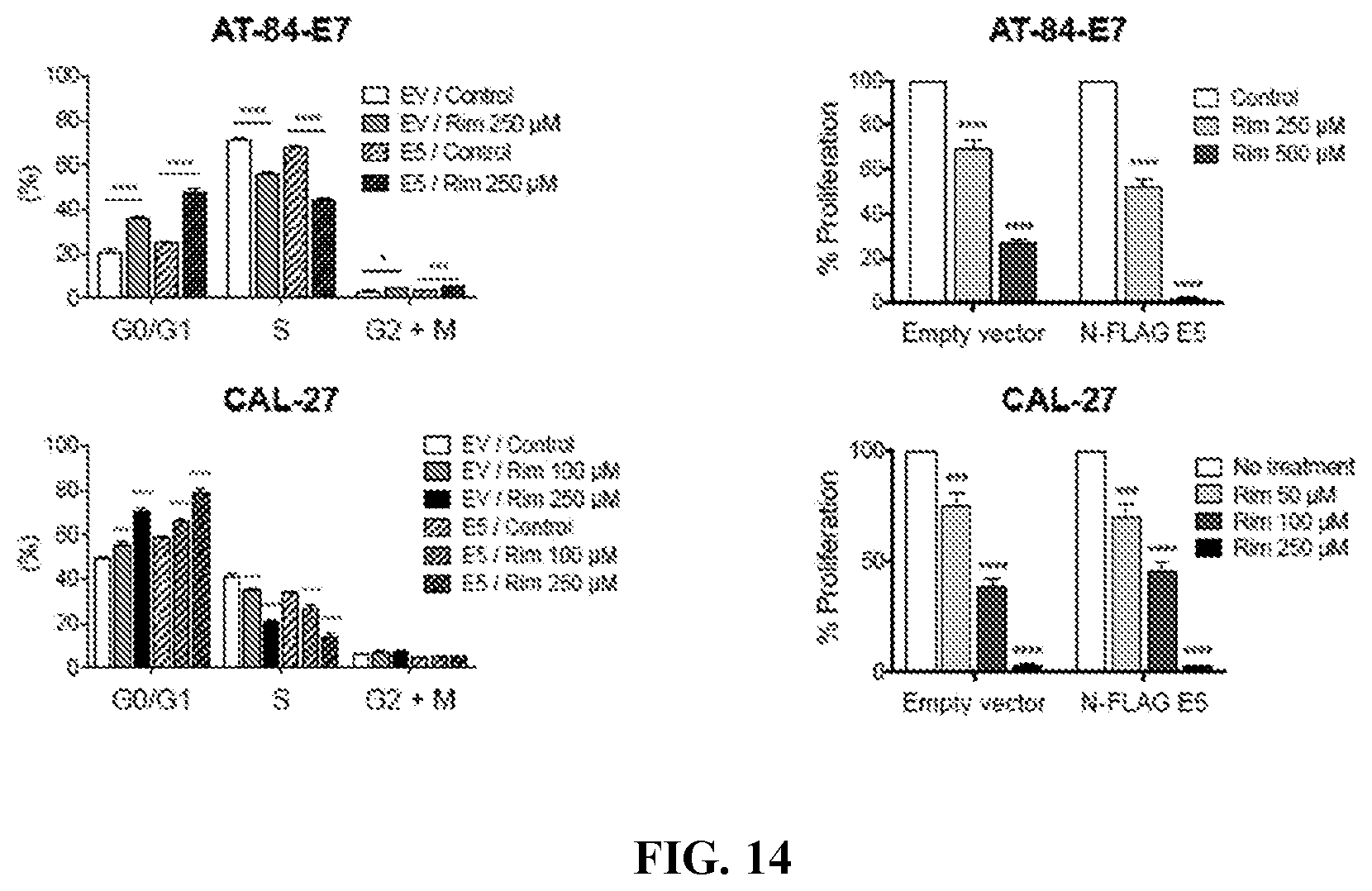 Patent US12576048 Figure 17 – Anti-cancer activity of adamantane derivatives