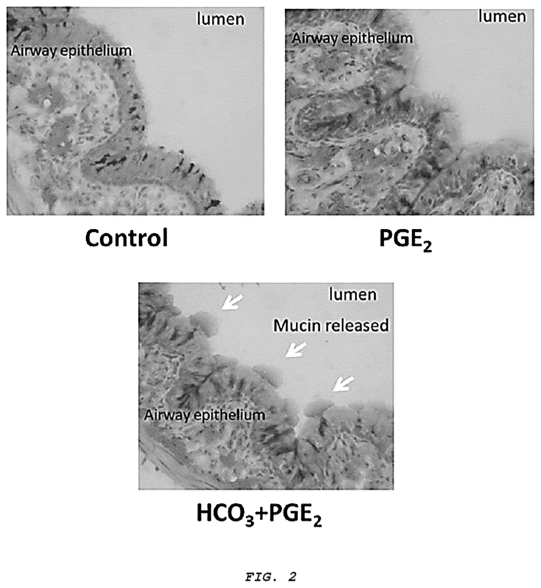 Patent US12576051 Figure 2 – Methods and composition for treating respiratory obstructive diseases