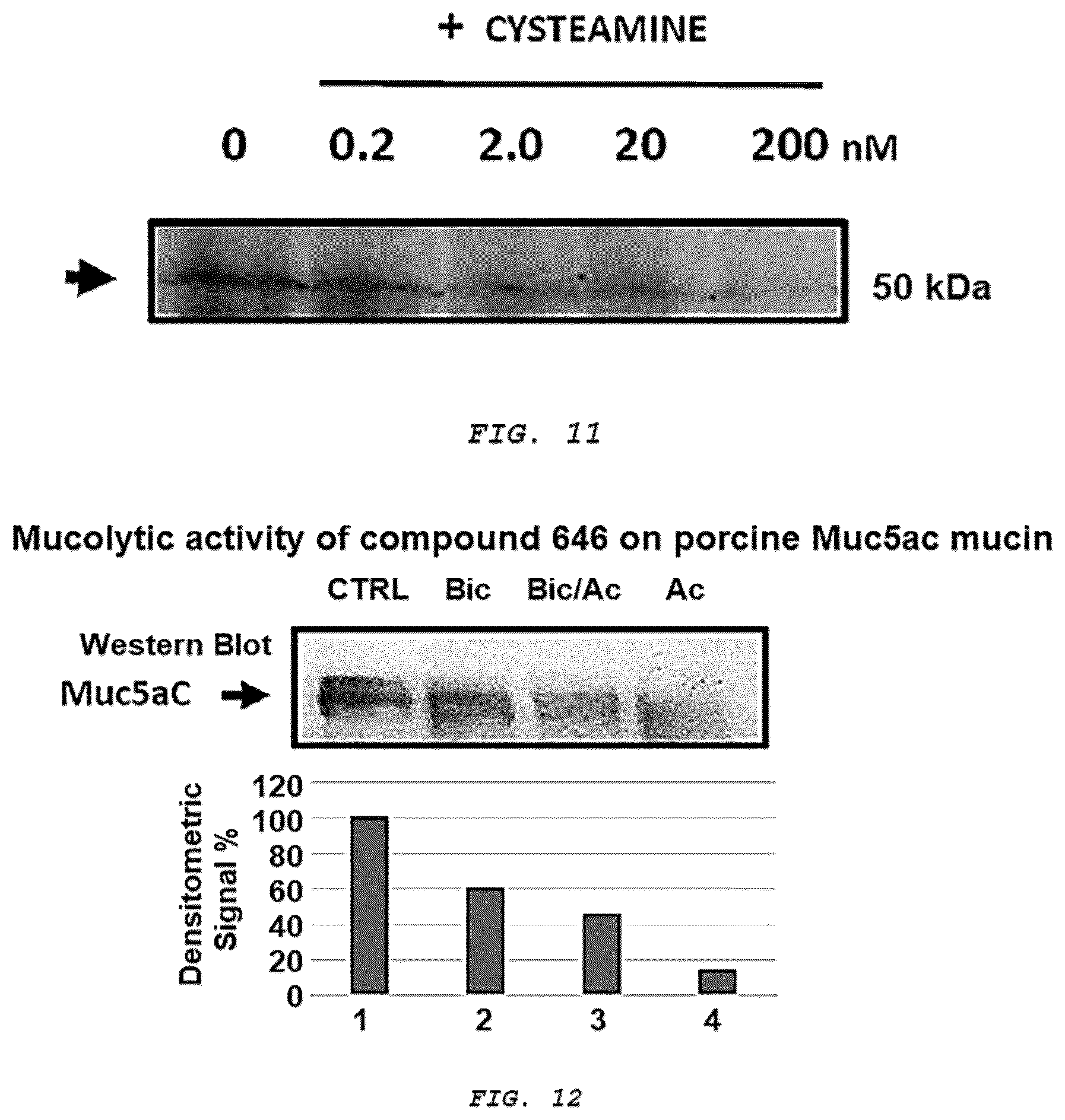 Patent US12576051 Figure 8 – Methods and composition for treating respiratory obstructive diseases