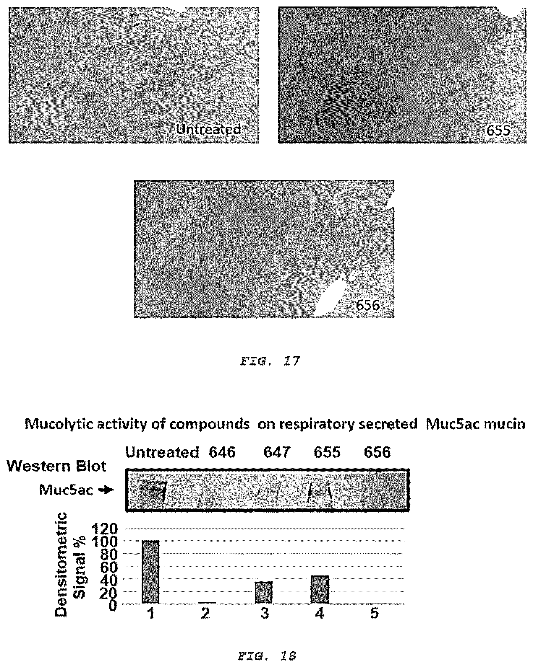 Patent US12576051 Figure 11 – Methods and composition for treating respiratory obstructive diseases