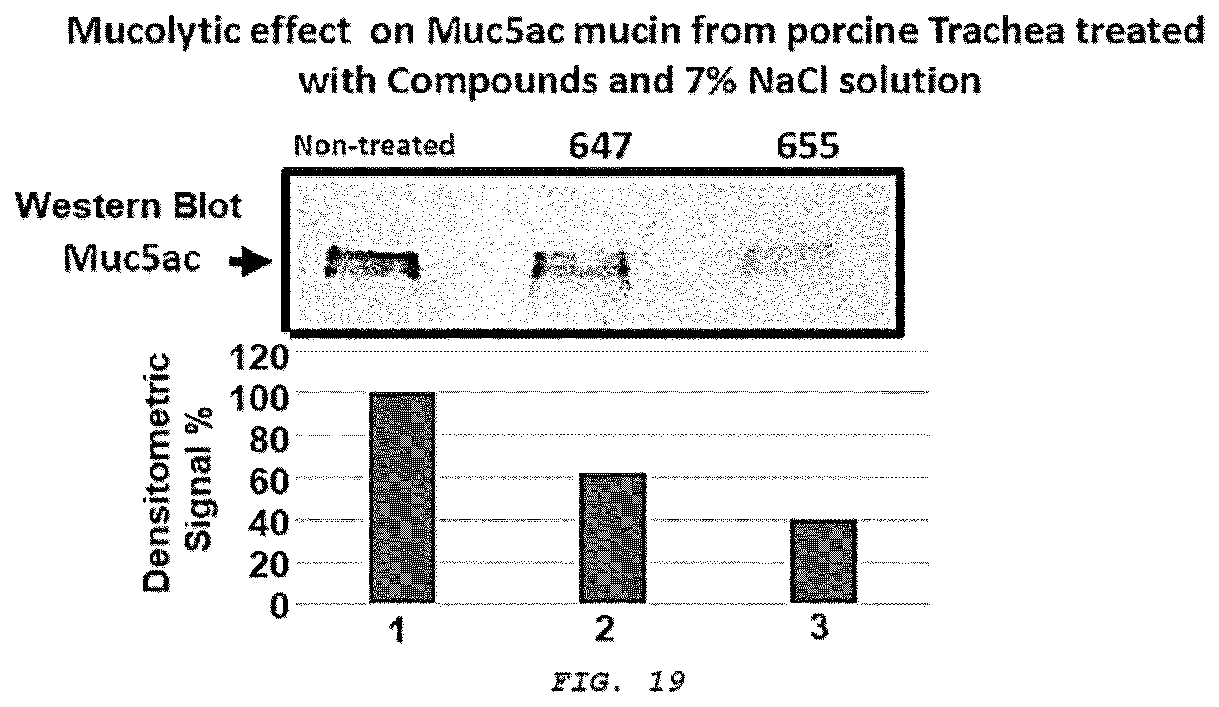 Patent US12576051 Figure 12 – Methods and composition for treating respiratory obstructive diseases