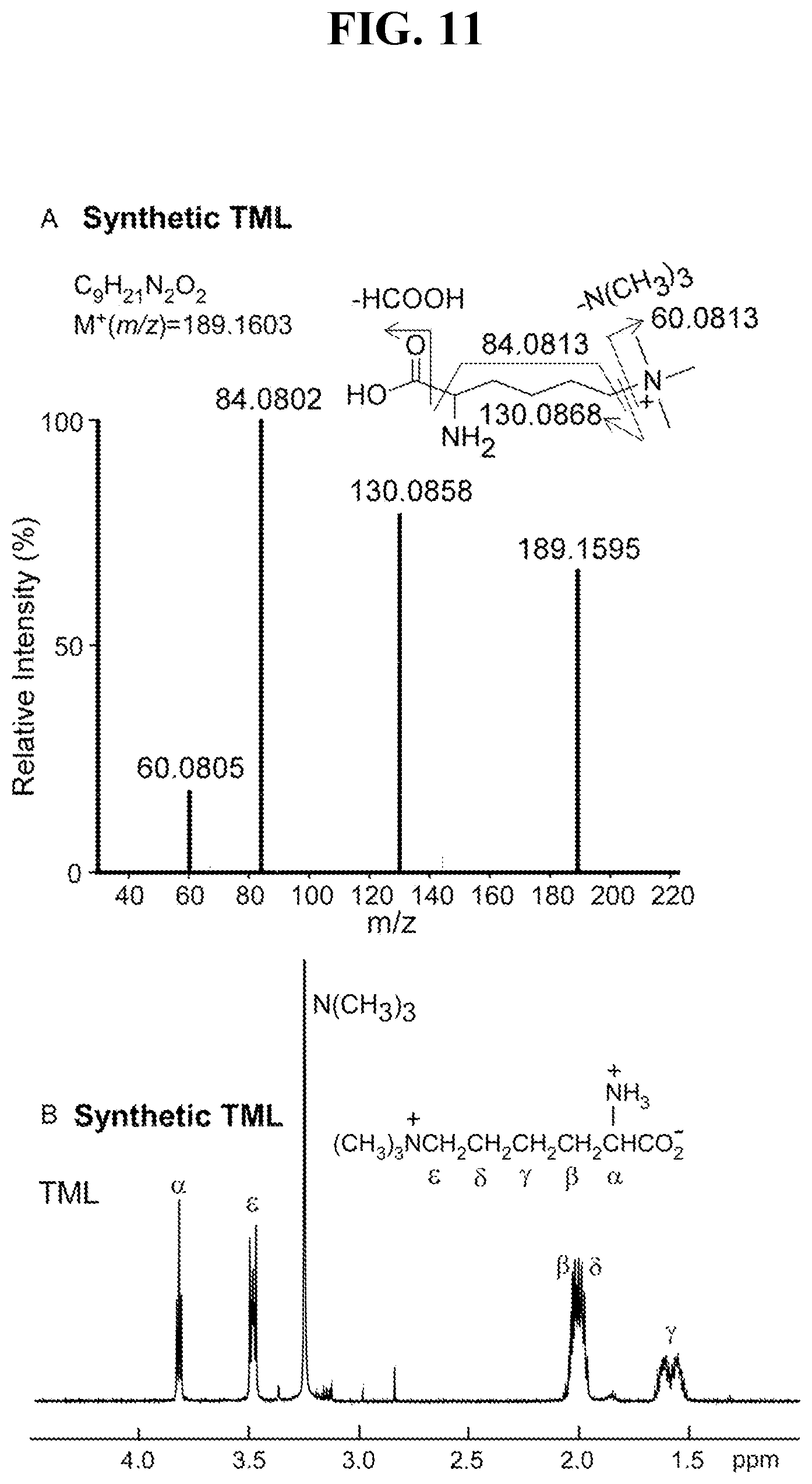 Patent US12576055 Figure 11 – Disease detection and treatment based on trimethyl-lysine levels