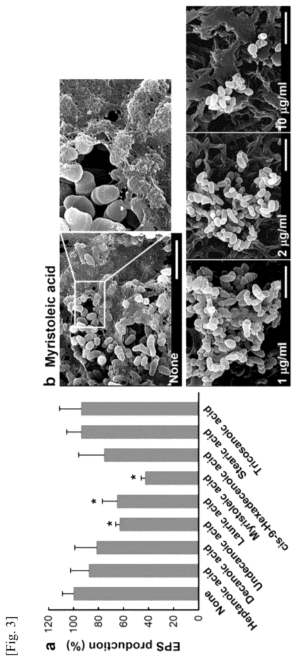 Patent US12576057 Figure 3 – Antibacterial and biofilm formation-inhibiting composition containing myristoleic acid as active ingredient