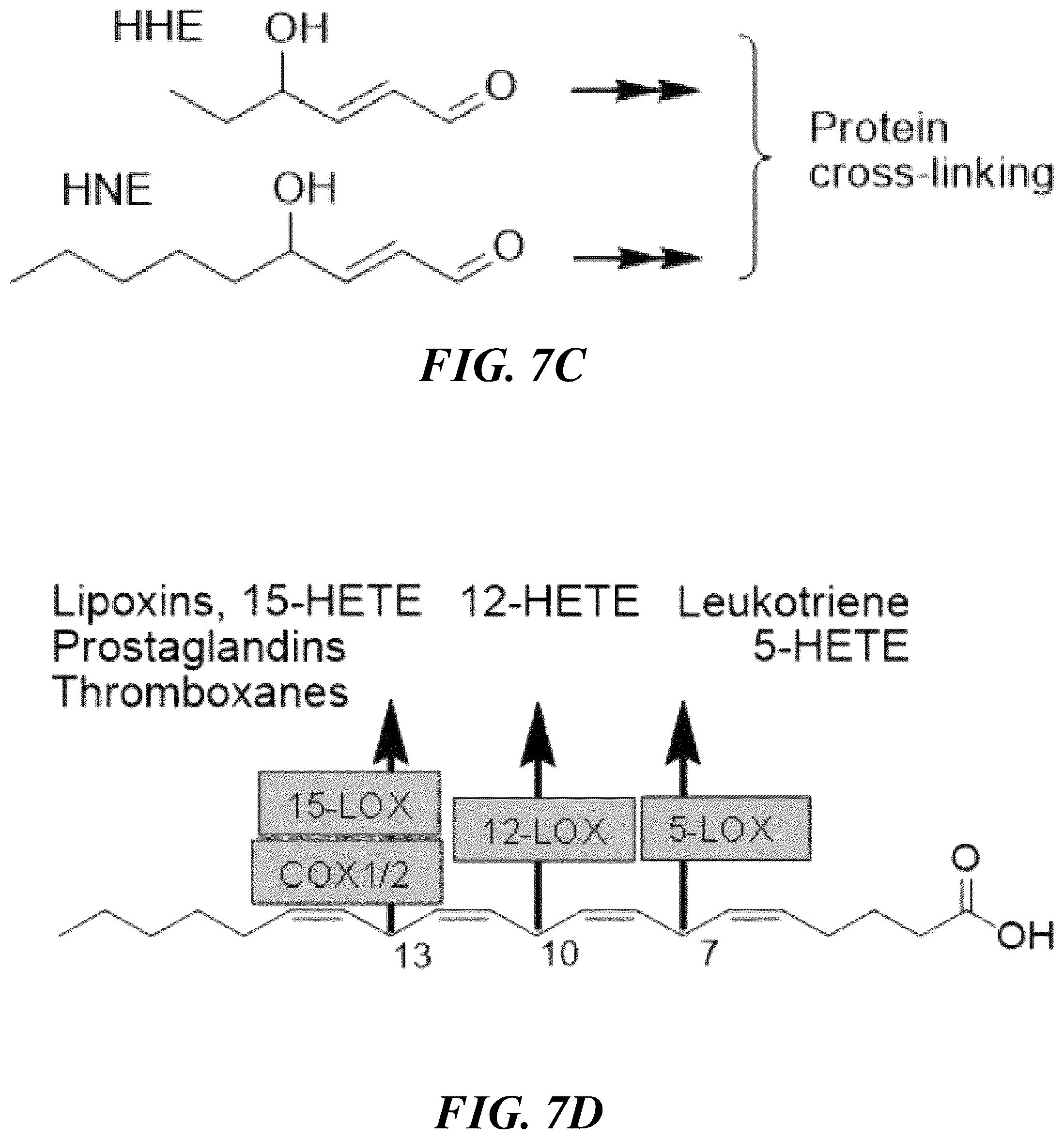 Patent US12576059 Figure 8 – Methods and compositions for treatment of inflammatory disease